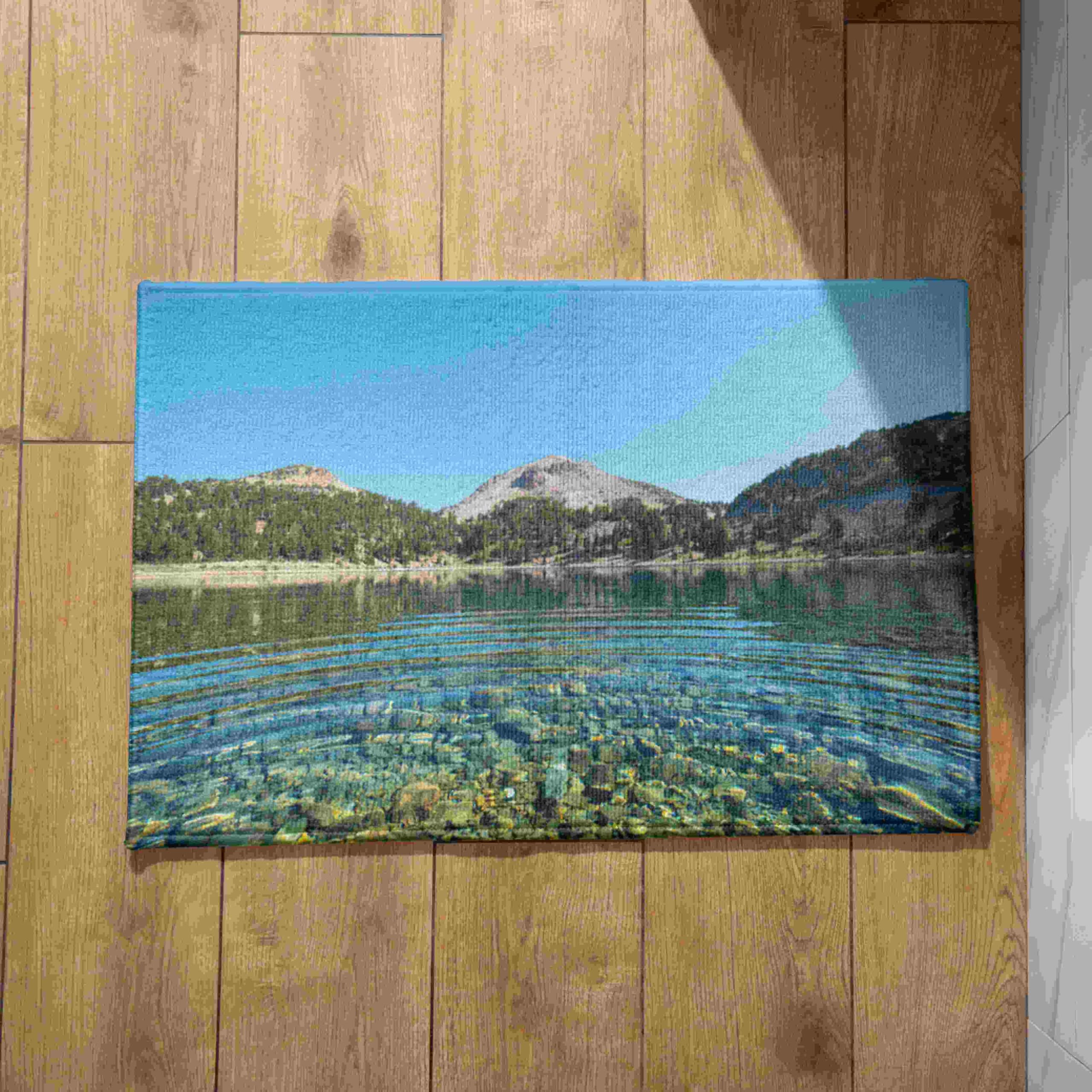 Tapis d'entrée intérieur absorbant et paillasson extérieur