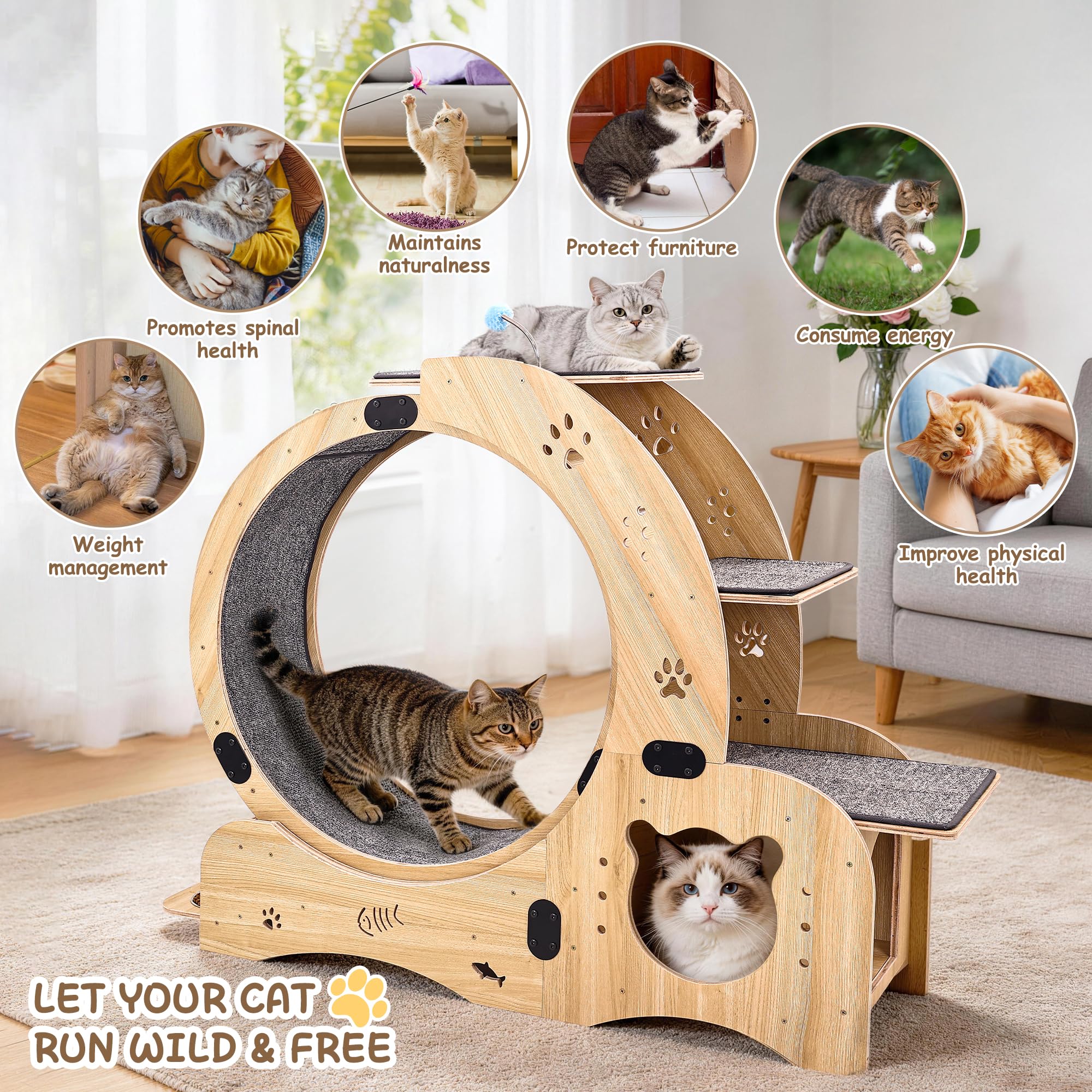 6-in-1 Upgrade Katzen-Übungsrad, Großes Leises Laufgerät mit Multifunktionsdesign, Interaktives Möbelspielzeug für Innenkatzen