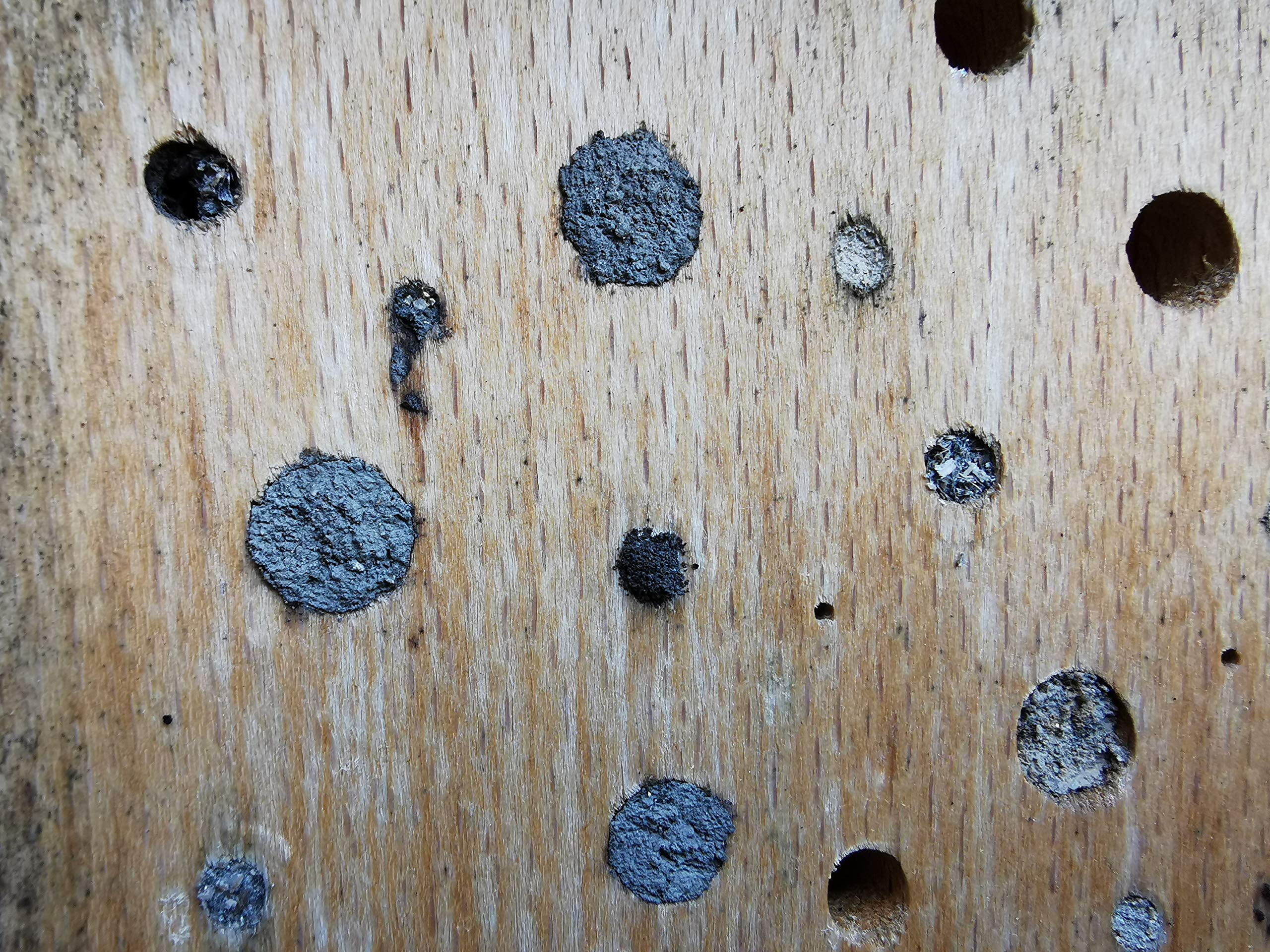 Insektenhotel/Bienenhaus/Nisthilfe aus Buche Massivholz für Wildbienen & solitär lebende Wespen