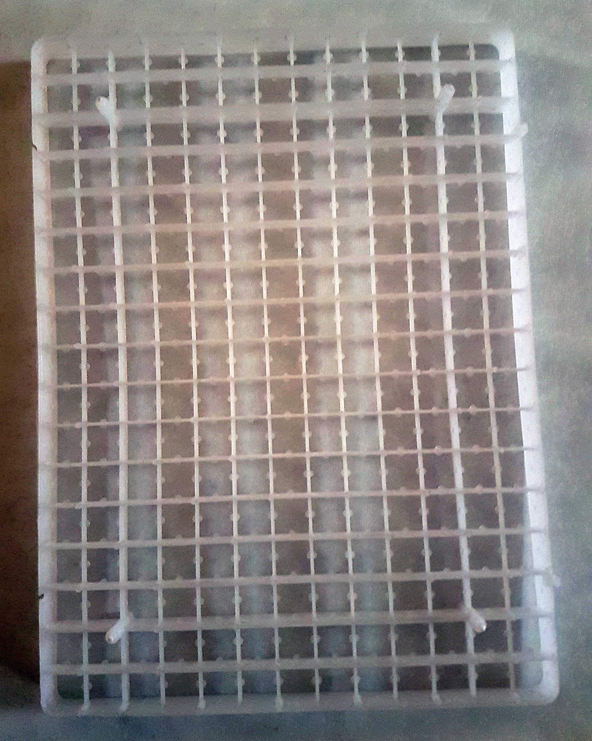 TRADEX Bruthorde Wachtel