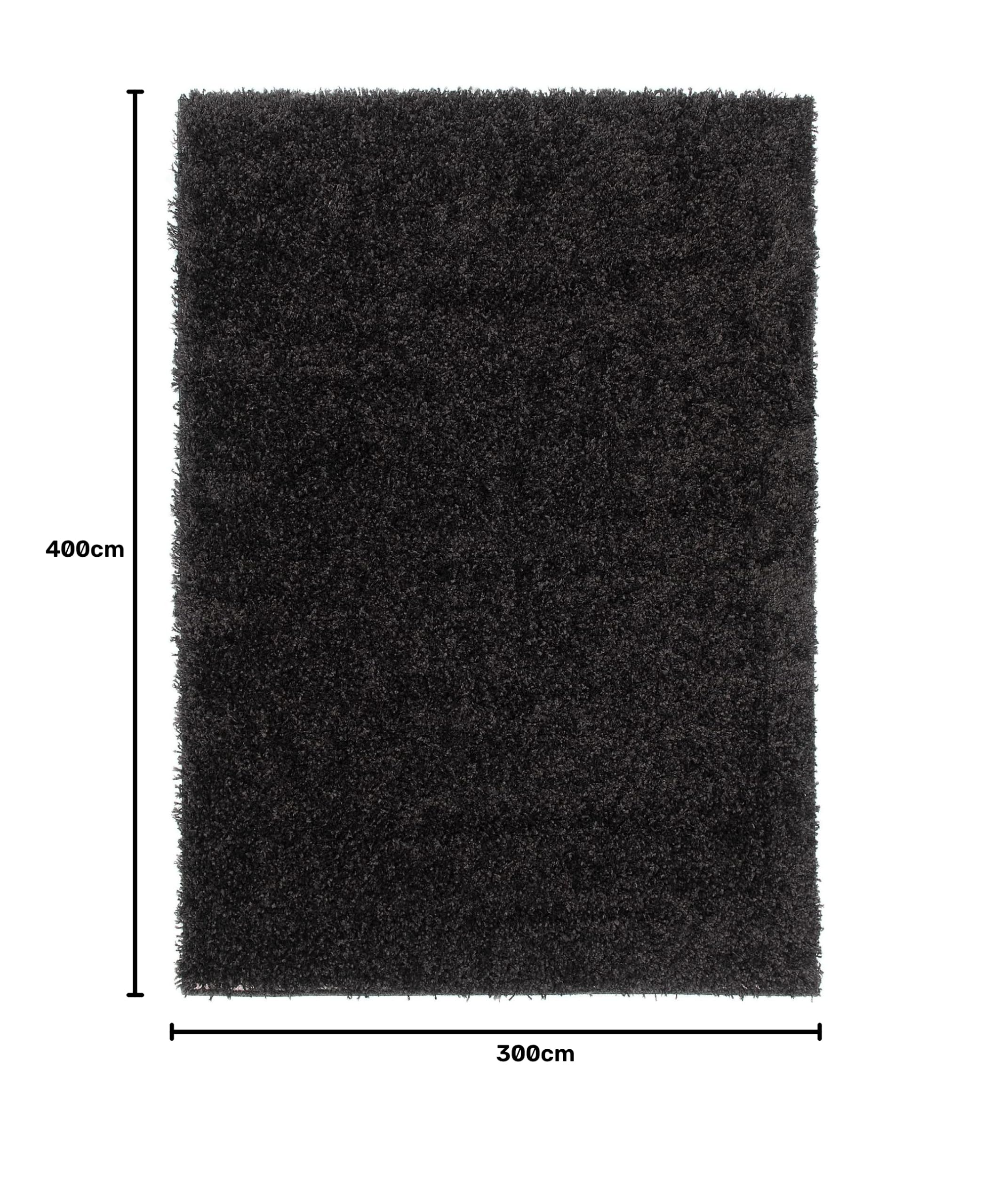 Tapiso Essence dywan Shaggy, wysokie runo, czarny, jednokolorowy, miękki, nowoczesny, prostokątny, do salonu, sypialni, Ökotex 300 x 400 cm