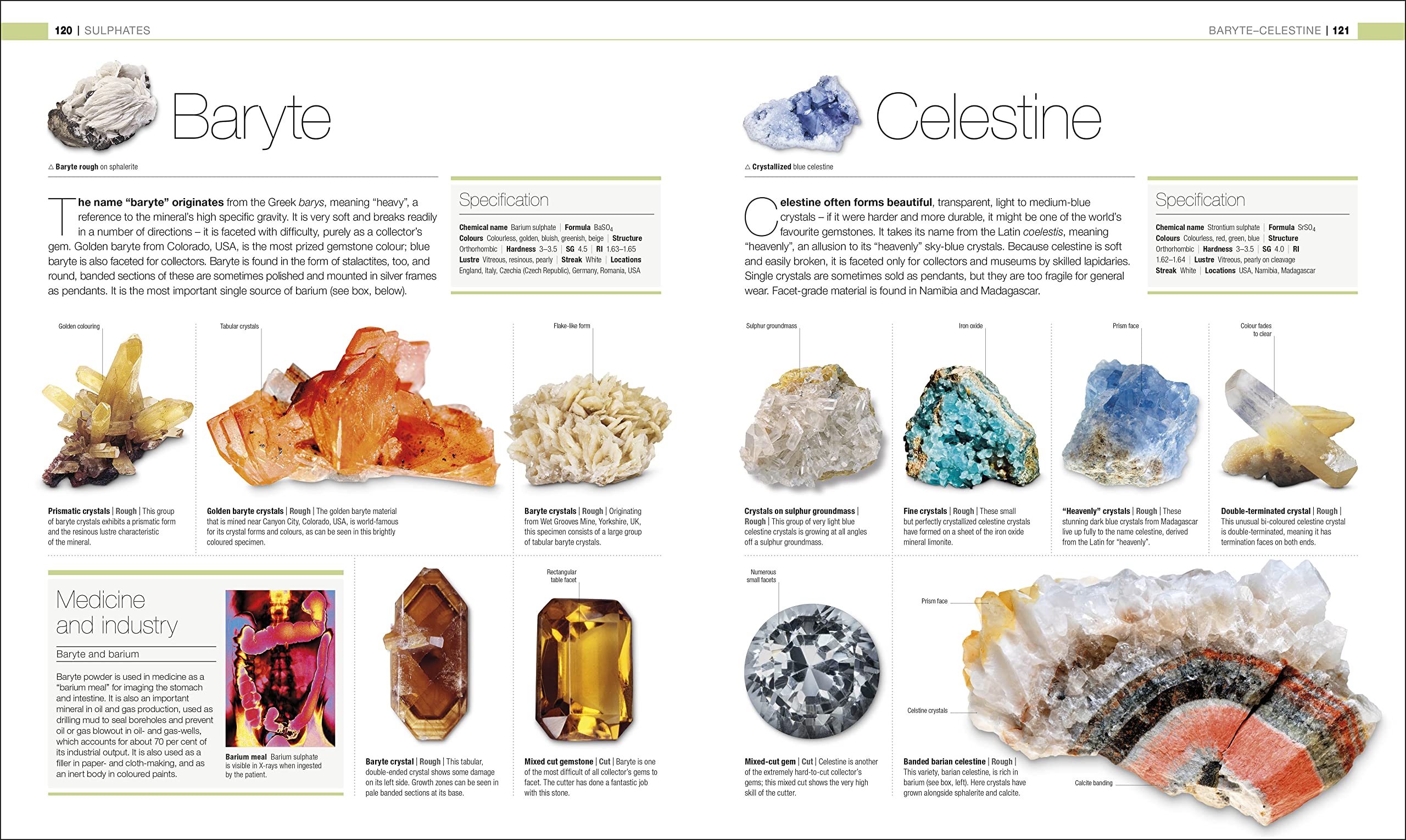 Jewel: The Definitive Visual Guide
