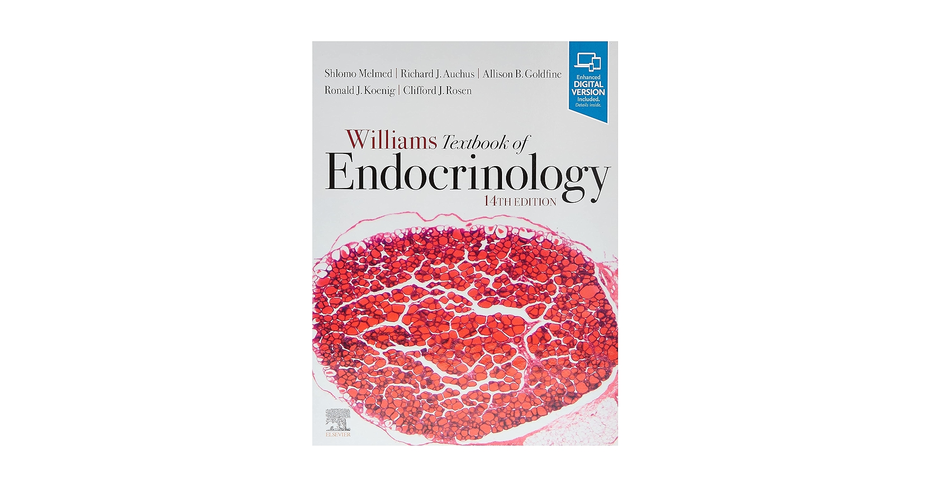Williams Textbook of Endocrinology: 9780323555968: Medicine