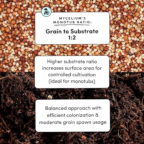 Miniatura 4 de Mycelium Kit de cultivo de hongos Plus I Sustrato CVG (fibra de coco, vermiculita, yeso) Mezcla patentada para cultivo de alto rendimiento, bolsa de