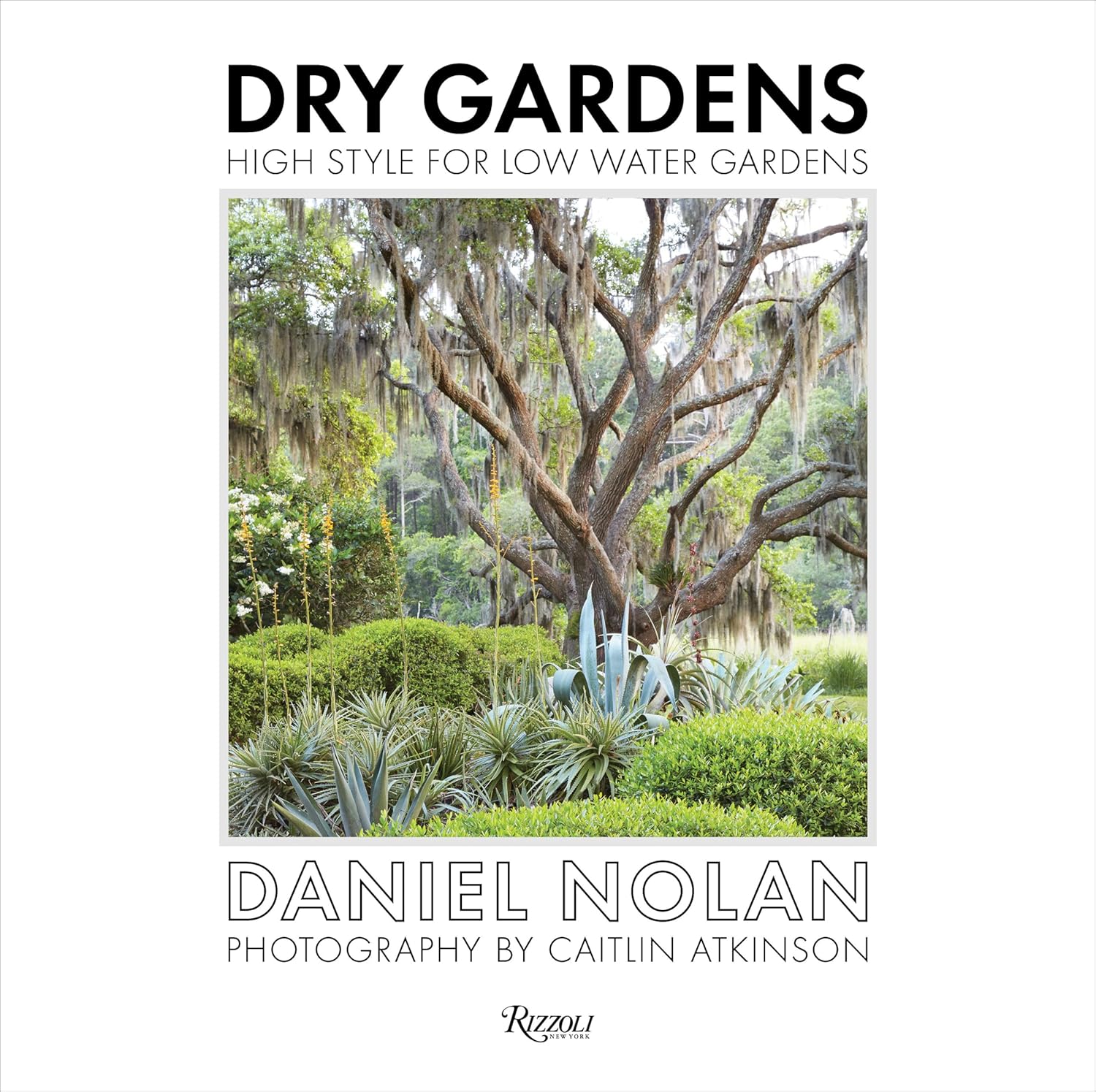Dry Gardens: High Style for Low Water Gardens      Hardcover – Illustrated, September 25, 2018