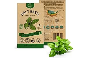 Blissful ZenBasil: Nature's Elixir of Culinary Delights and Holistic Healing