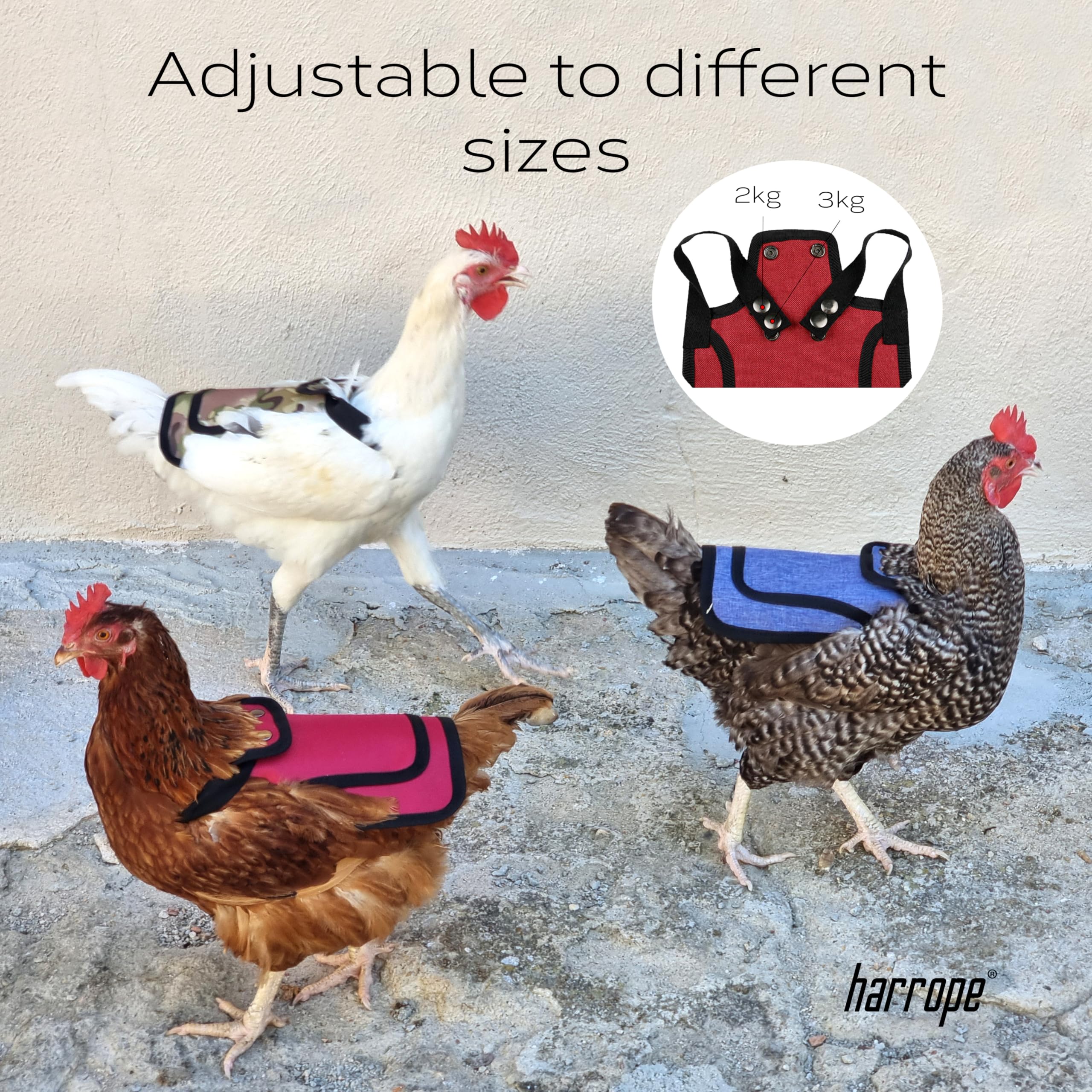 Harrope Cape de Protection réglable pour Poulet ou volaille. Protège Le Dos des blessures. Protégez Le Poulet Pendant Que Le Coq Marche Dessus (2pcs Rouge et Bleu foncé,)