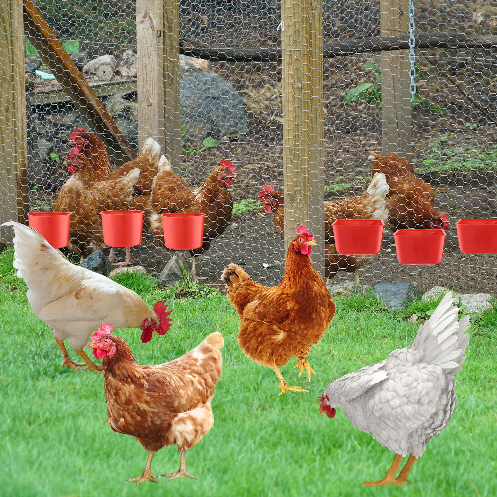 FillTouch 50 tazas de jaula de 4.9 x 3.7 x 2.4 pulgadas, comederos de pollo, 3.2 x 3.2 x 2.4 pulgadas, tazas de jaula colgantes para pájaros, tazas de agua para pollo, cuencos de semillas, tazas de
