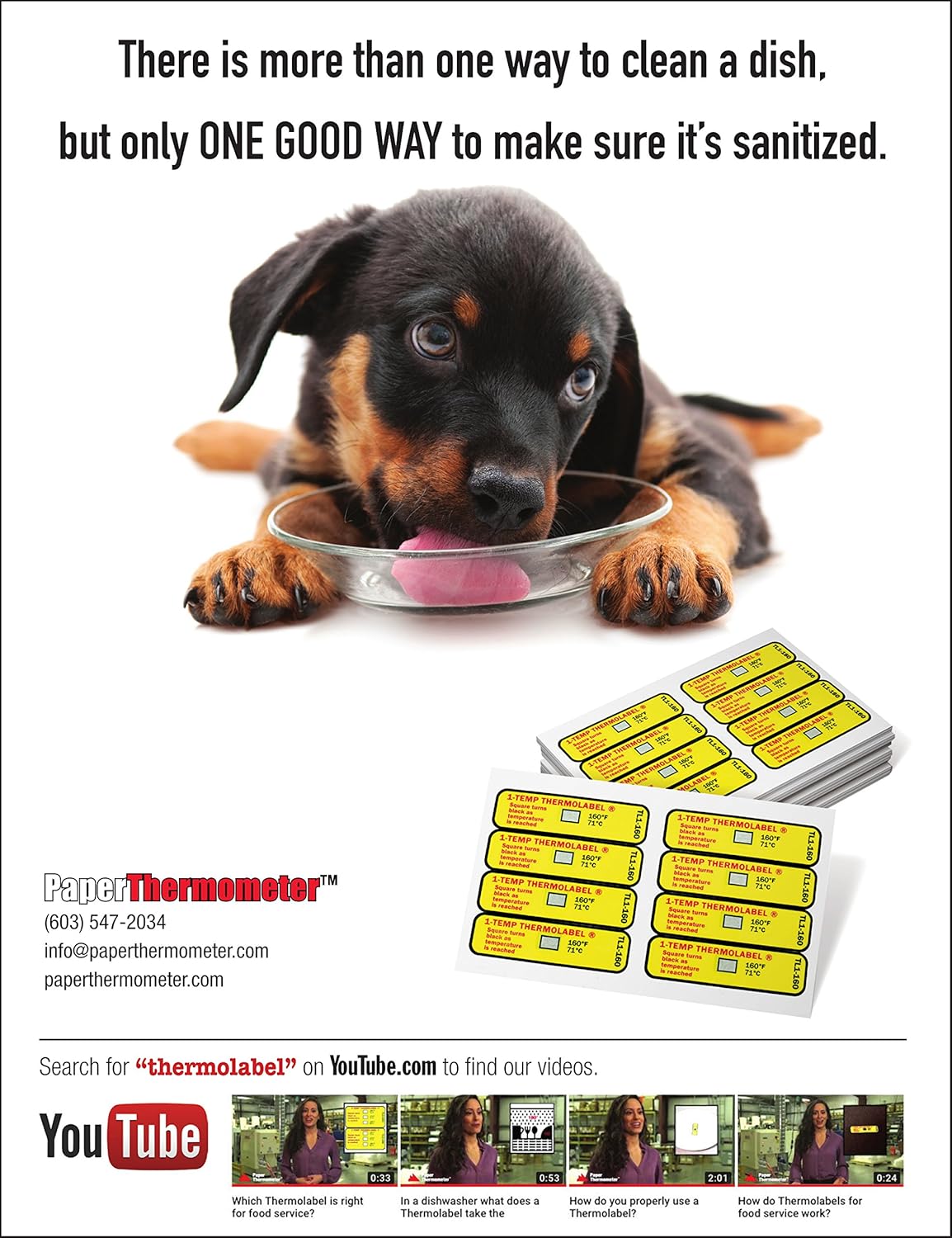 1Temp Thermolabel Wide 160°F/71°C Temperature Label for Dishwashers