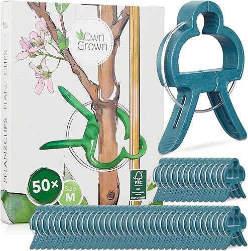 Clips para plantas 50 clips de soporte para plantas tamaño M - Soporte de plantas trepadoras para plantas trepadoras - Clips de jardín para plantas