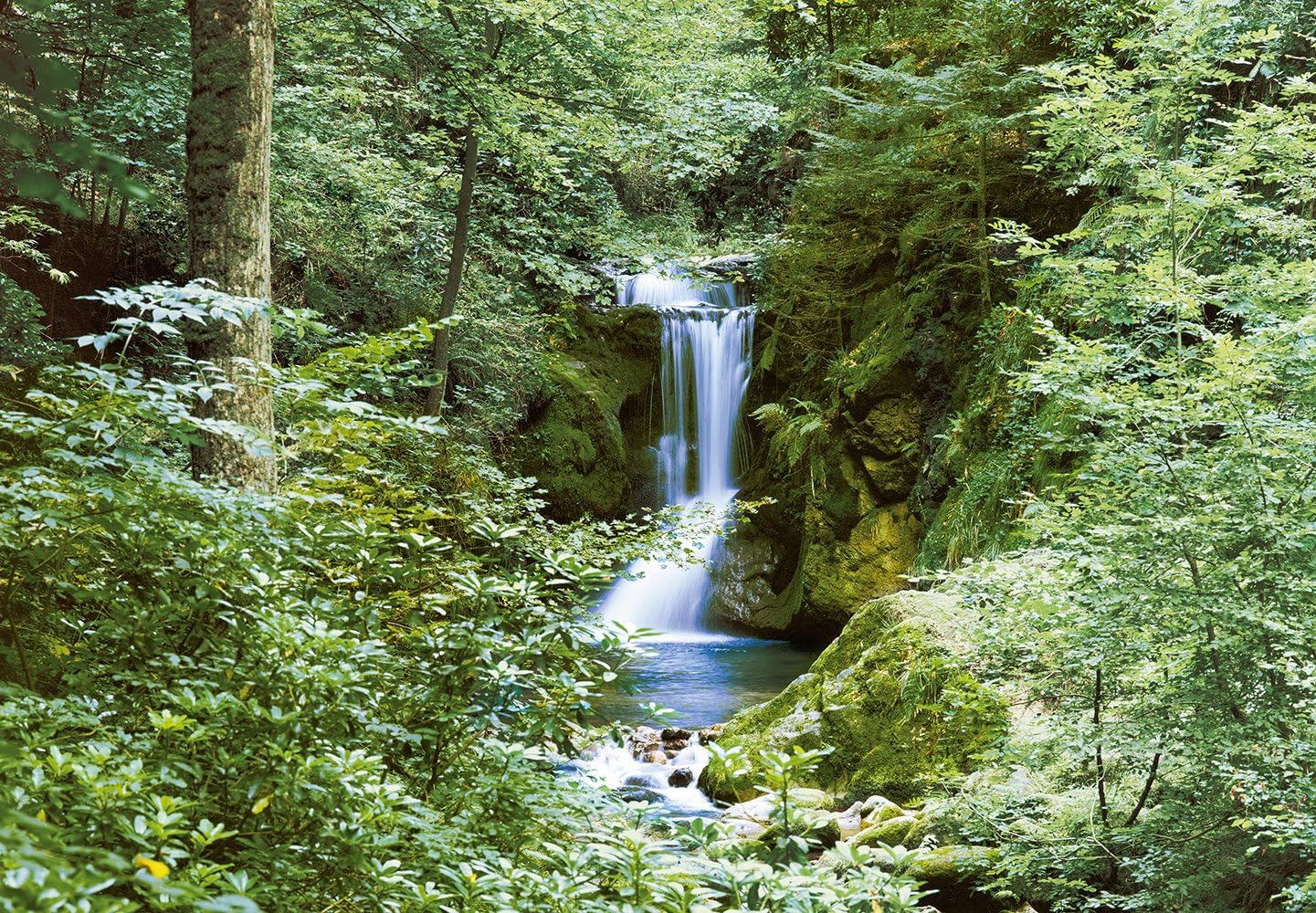 Best Cyber Deals 🔥 Komar DM279 Ideal Decor Waterfall In Spring 8-Panel Wall Mural