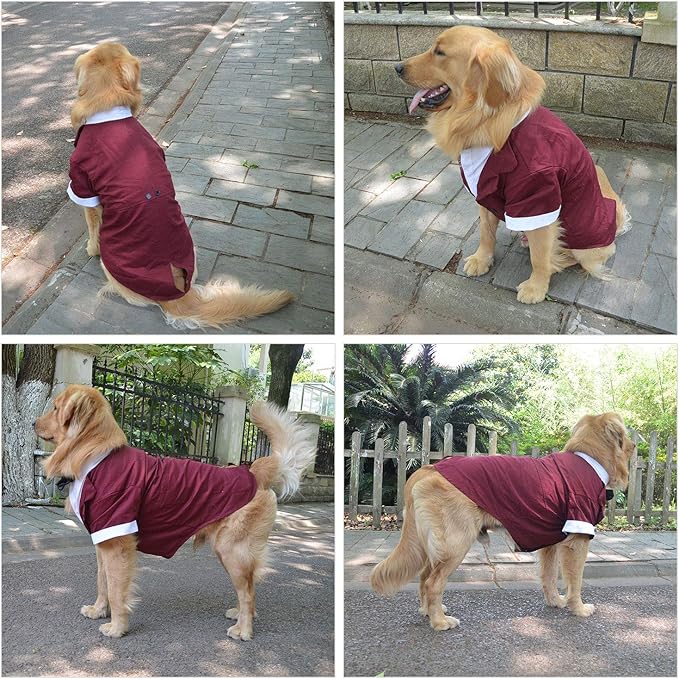 Disfraz de perro formal de Lovelonglong con moño, marrón rojizo, talla L-XL+ miniatura 5