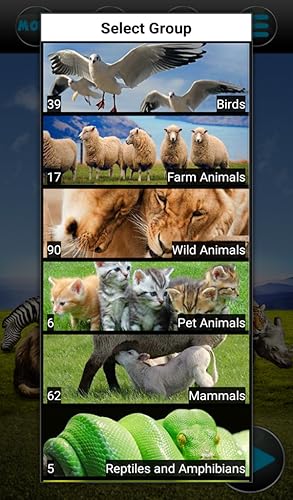 Animal Sounds 2017