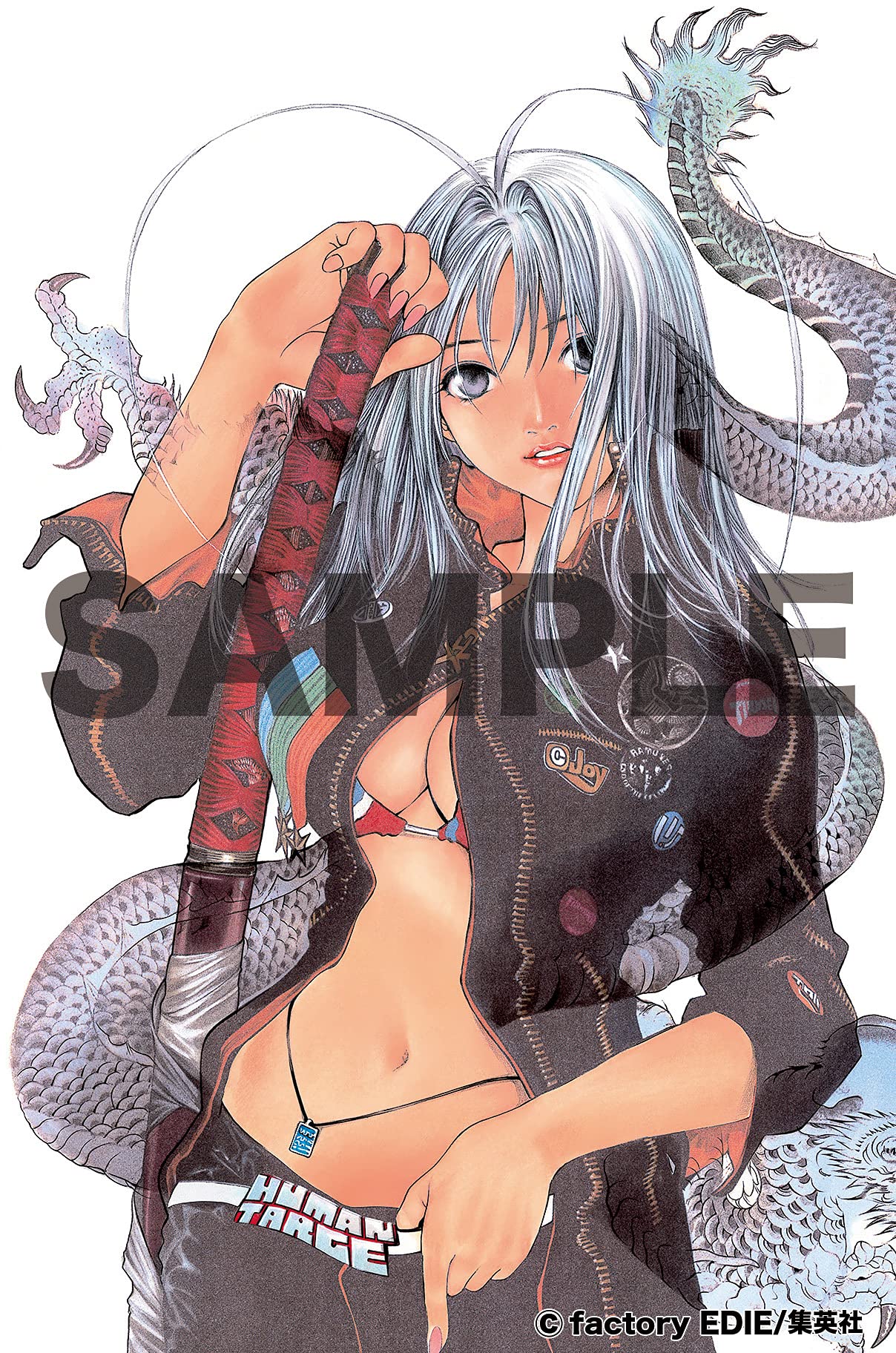 大暮維人画集 Blast 愛蔵版コミックス 大暮 維人 本 通販 Amazon