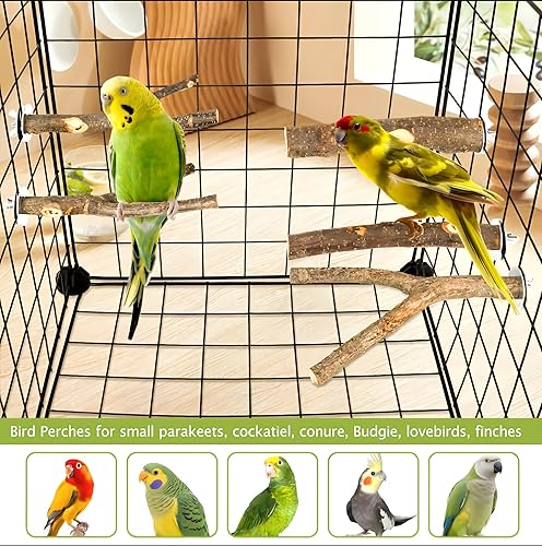 Miniatura 17 de 8 perchas para pájaros de madera natural para jaulas, soporte y plataforma para loros, accesorios para jaulas de pájaros para periquitos, cacatúas