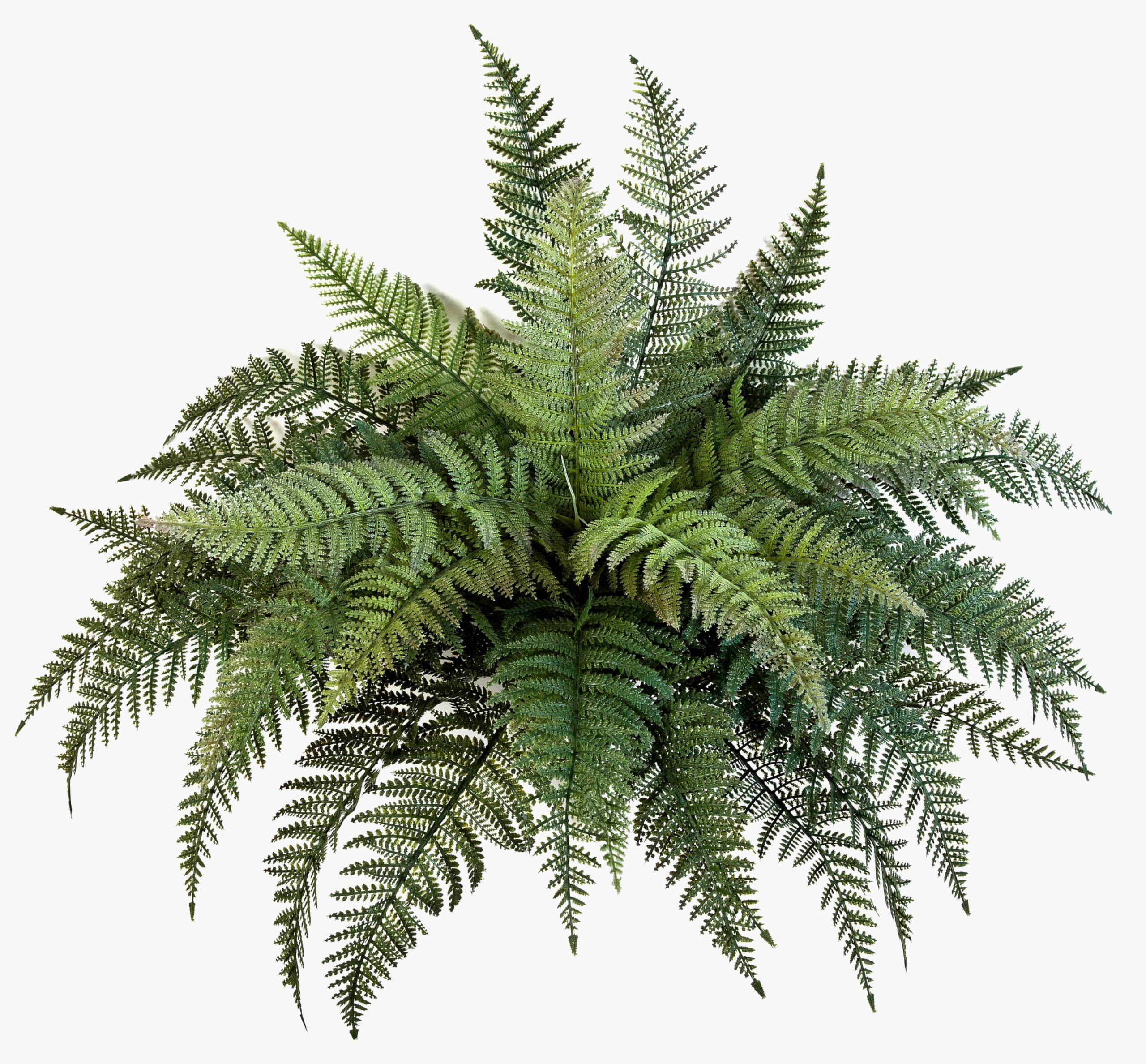 artplants.de Felce Florida Decorativa Aaron, Verde, 50cm, Ø 65cm
