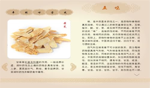 Health Treasure: the Wisdom of Traditional Chinese Medicine