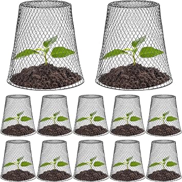 12 Pcs Chicken Wire Cloche Plant Protector Cover Plant Protector from Animals Metal Garden Protections for Plants, Shrubs and Vegetables with 24 Ground Stakes 12
