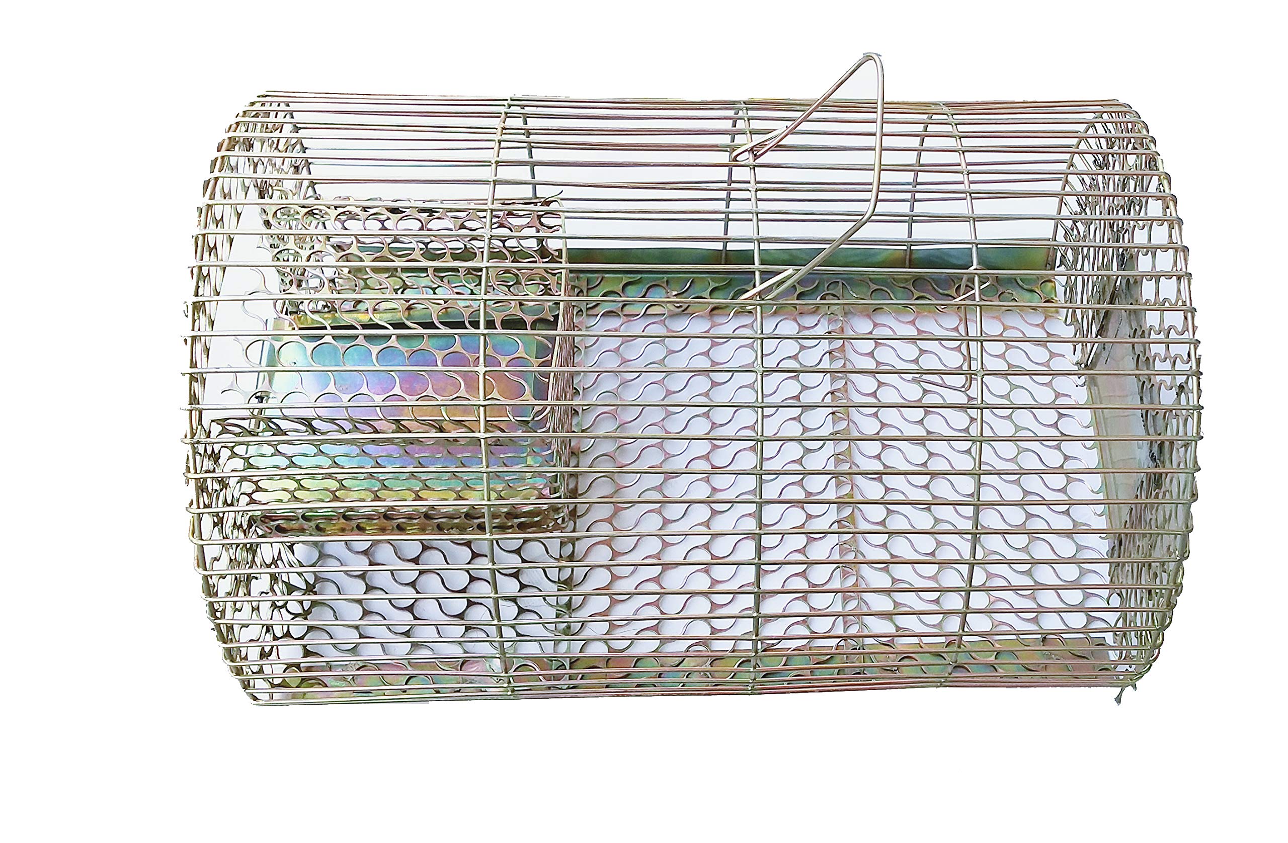 Logro Mousetrap Mice Catcher Multi Catch Rat Trap (B09FK97954) Amazon Price History, Amazon Price Tracker