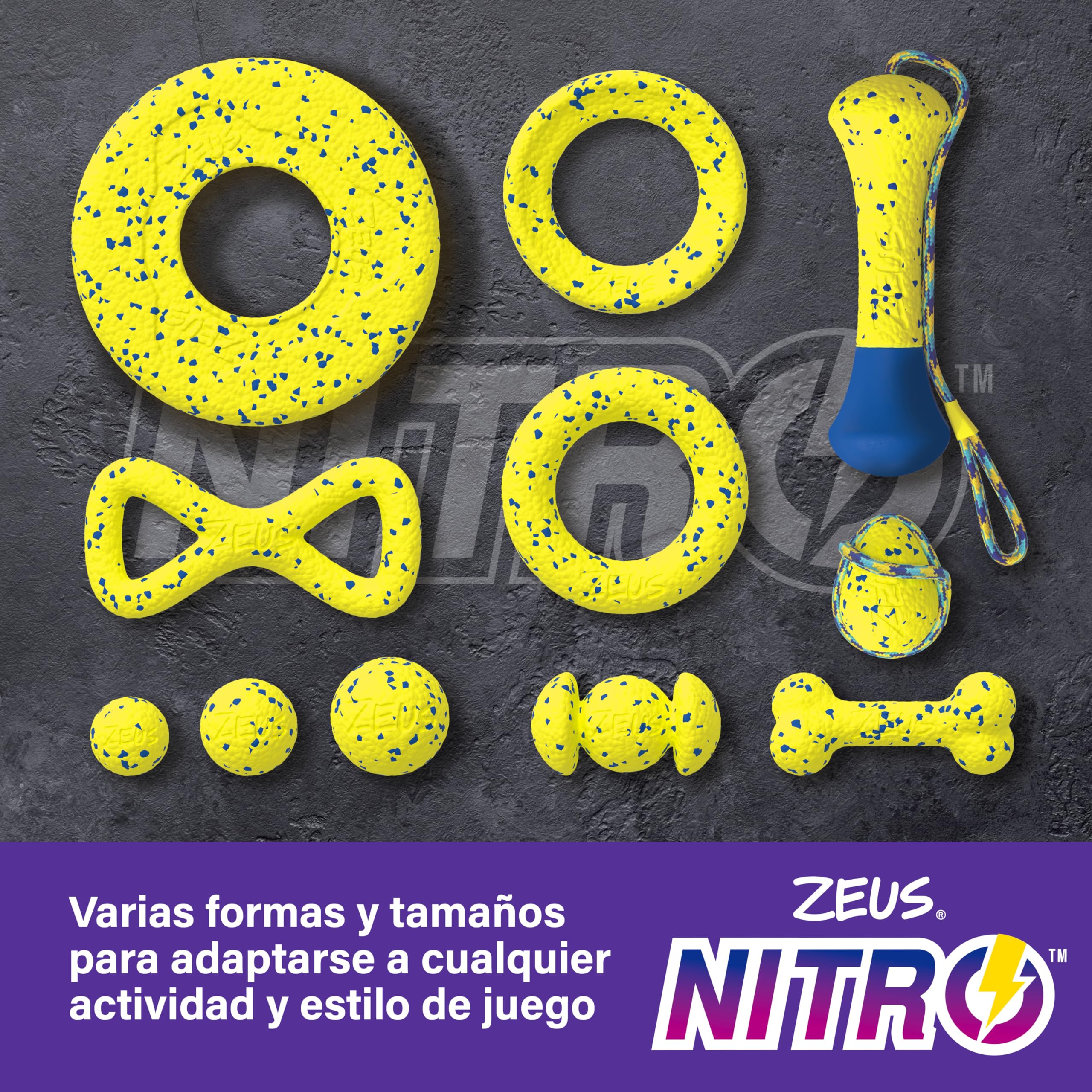 Zeus Disco Ligero y Resistente para Perros Nitro, 24 cm diámetro