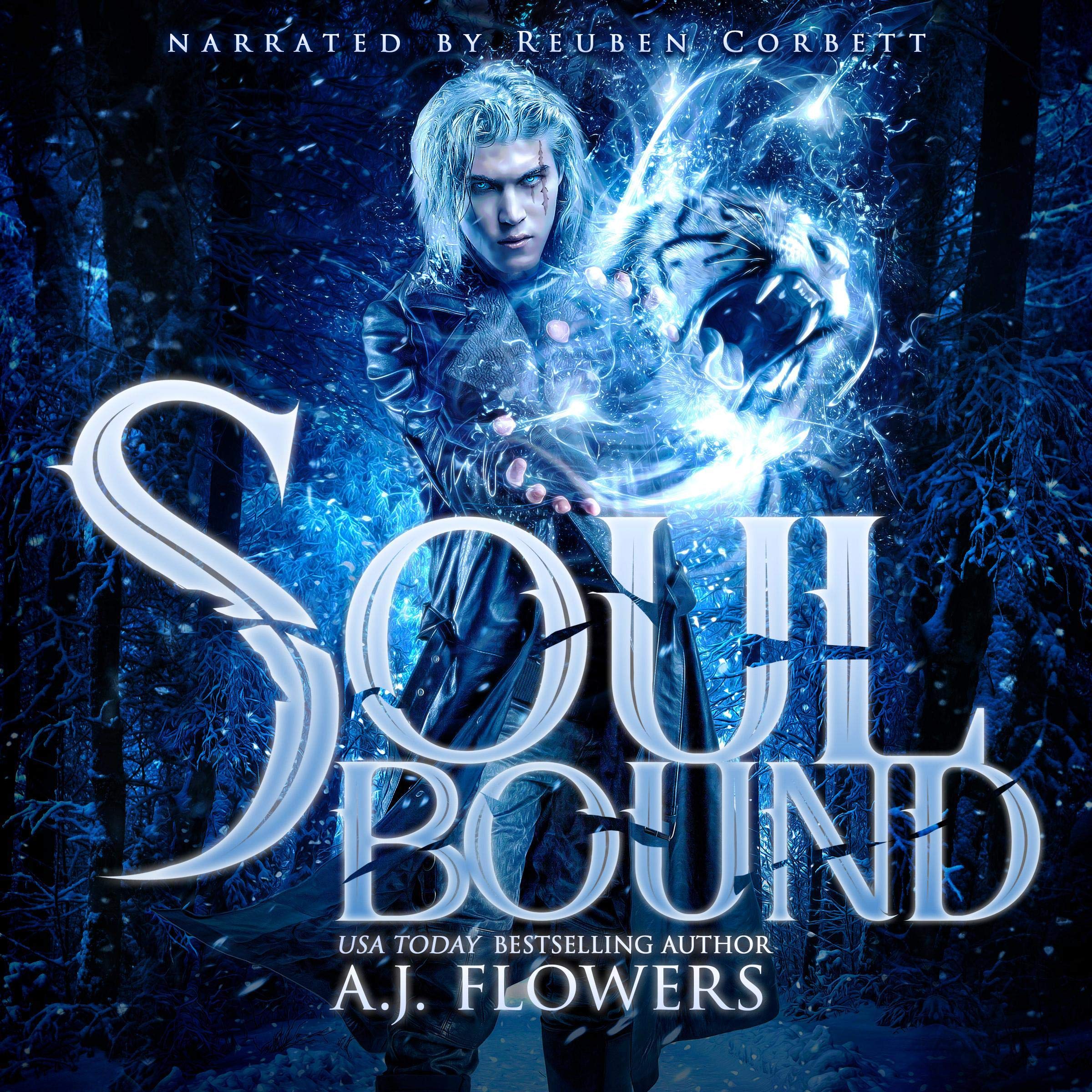Cover art for Soul Bound