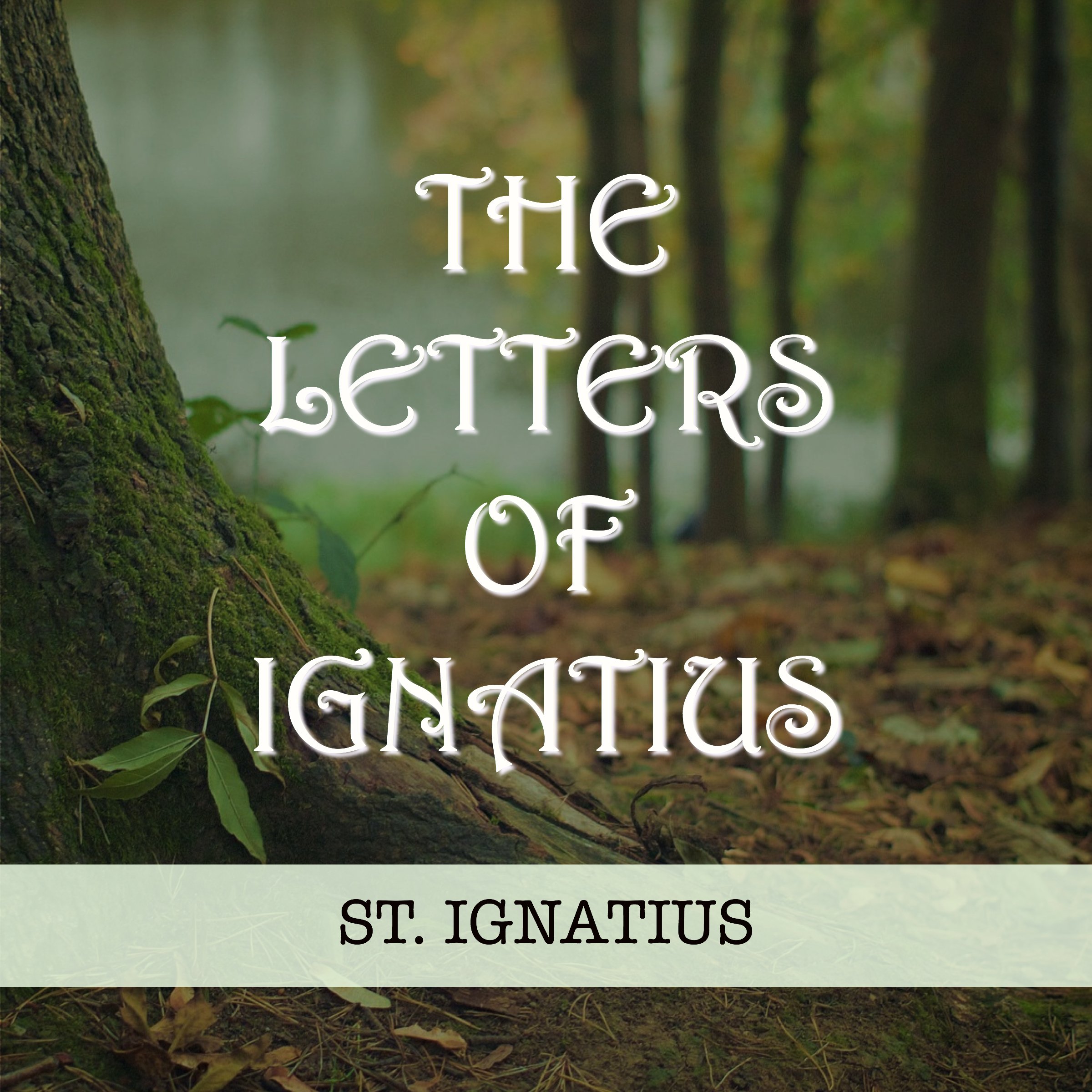 The Letters of Ignatius