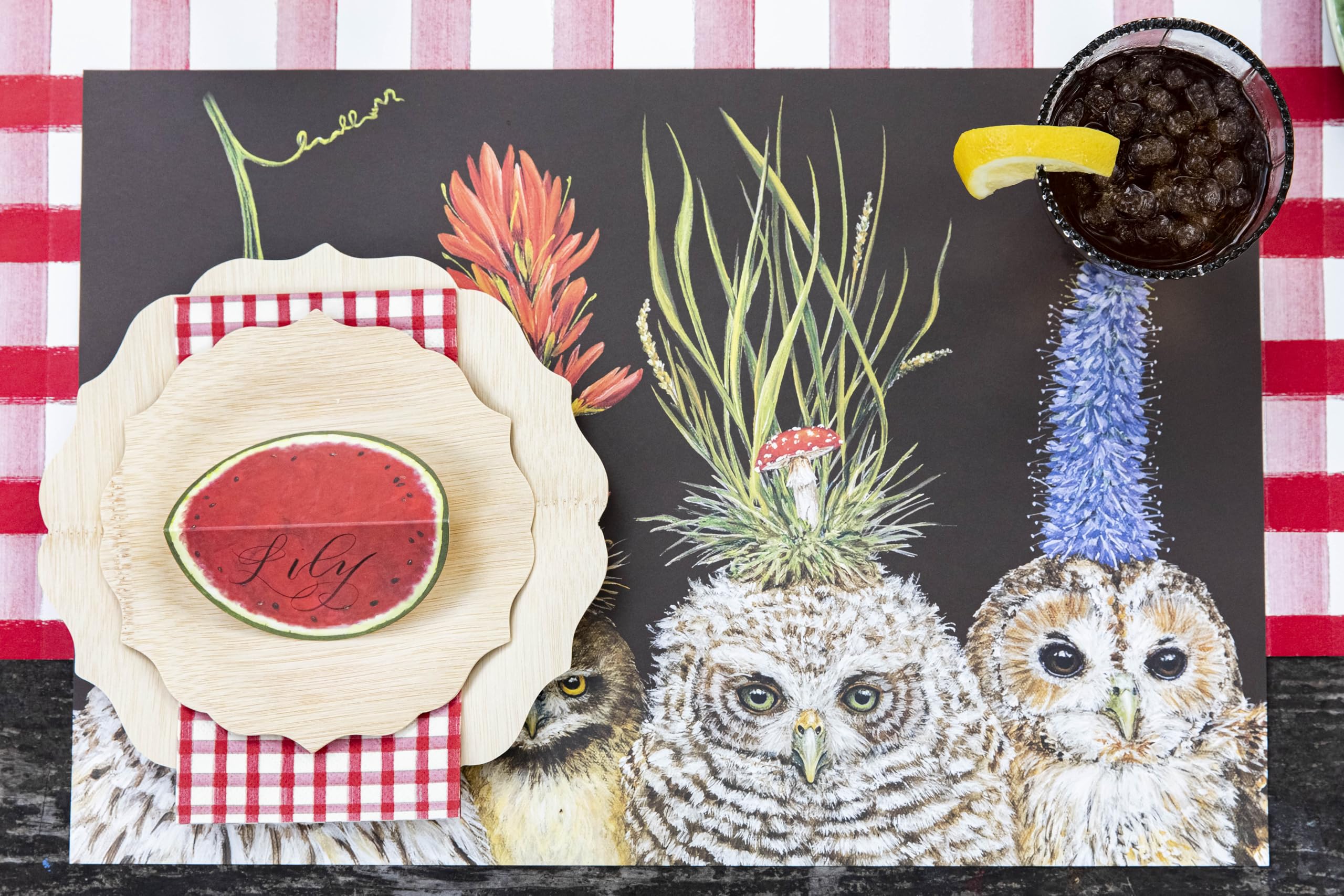 Kitchen Papers Baby Owls Paper Placemats by Kitchen Papers