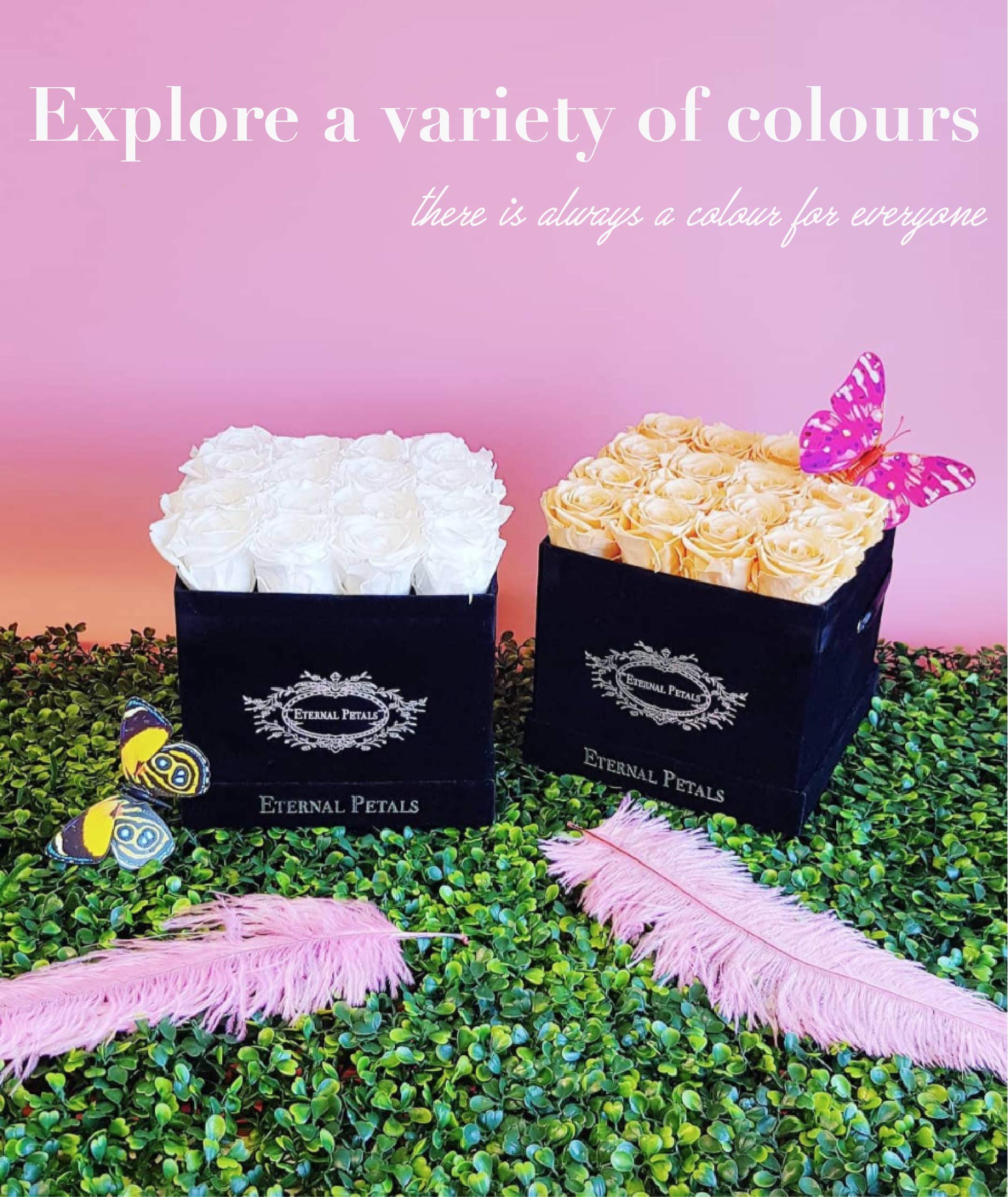 Real Roses That Last A Year – 16 Roses in a Black Flower Box (Delicious Peach)