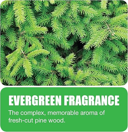 Miniatura 5 de Big D Industries - Bloque de inodoro no apto para inodoro, dura 30 días, aroma de hoja perenne, blanco, 12caja