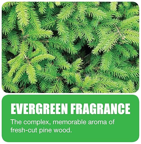 Miniatura 5 de Big D 675 Percha para borde de inodoro con bloque no para, fragancia Evergreen, 1500 descargas (paquete de 12)  Ideal para baños en oficinas,