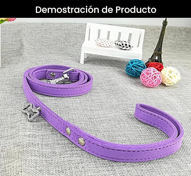 Foto 5 de 6 de Newtensina Lindo Diamante Cachorro Collar y Correa Bling Gamuza Collar para Perros pequeños Gatos