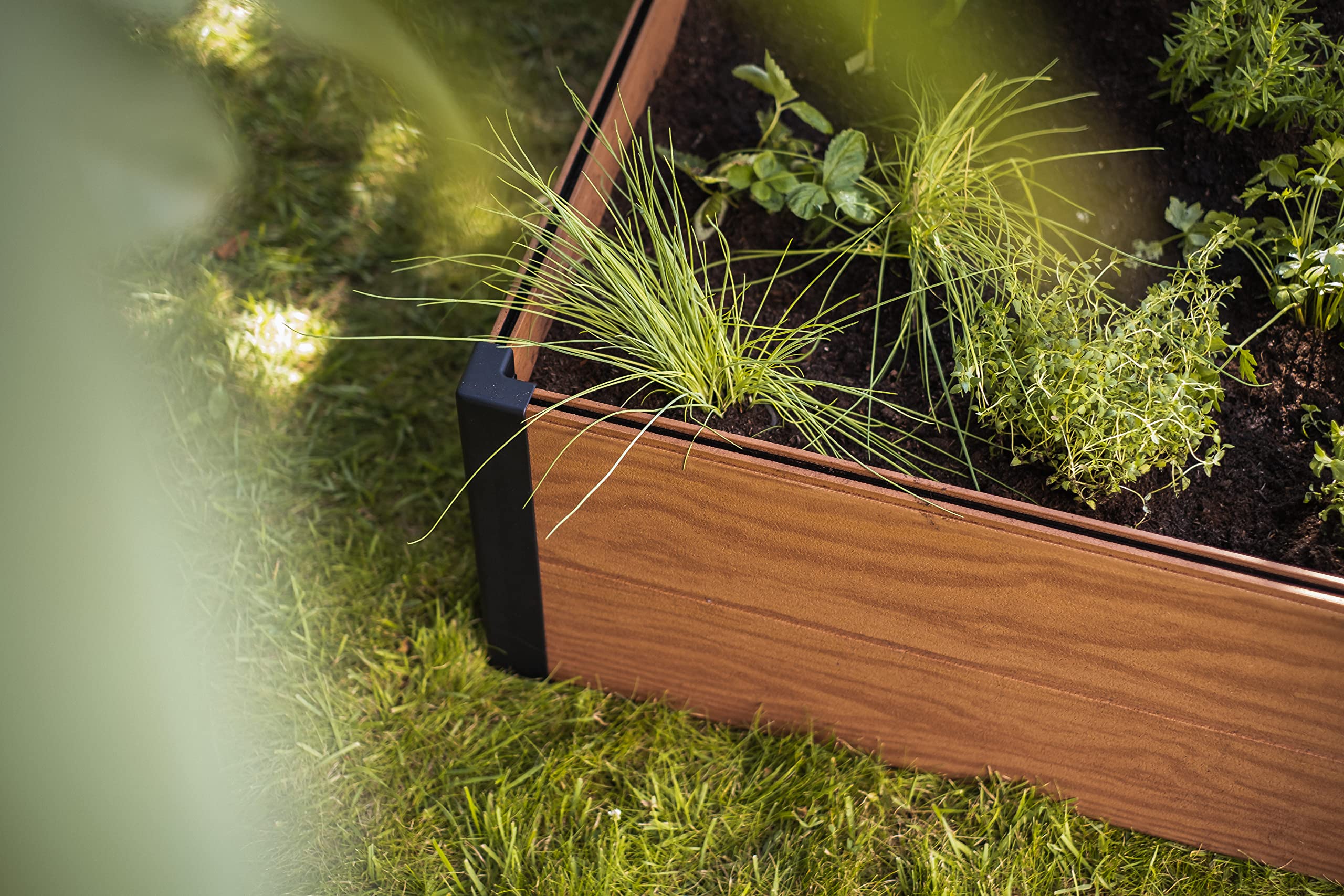 Keter Maple Hochbeet braun, Kunststoff mit Holzstruktur, Maße: 106x106x32cm, quadratisch, wetterfest, robust, auch als Kräuter-oder Blumenbeet verwendbar, Kapazität 332l