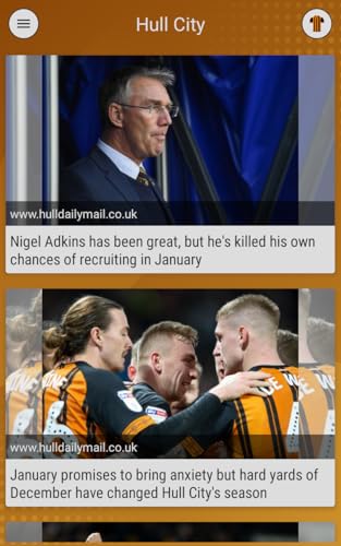 EFN - Tigers Edition