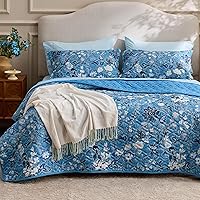 Vista 20 de Bedsure Patchwork Quilts Queen Size - Reversible Blue Floral Comforter Queen Size, Spring Lightweight Bedspread Boho Quilted Bedding, Soft 01