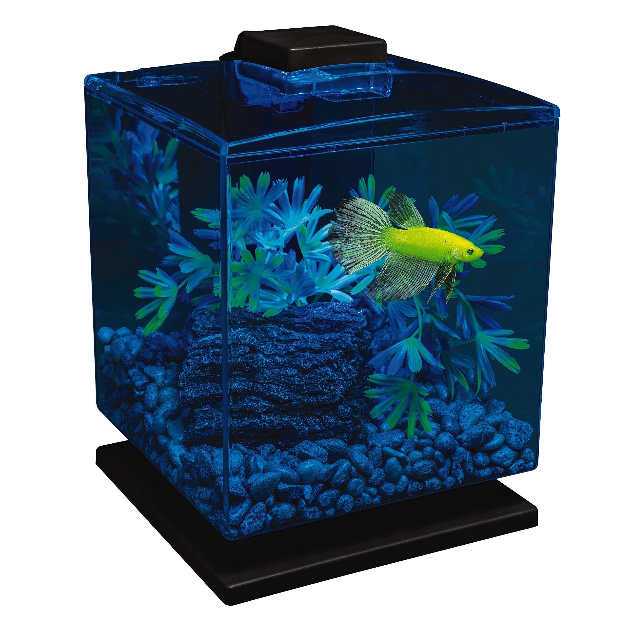 GloFish Aquarium Kit w/ Hood,...B00591C0AI