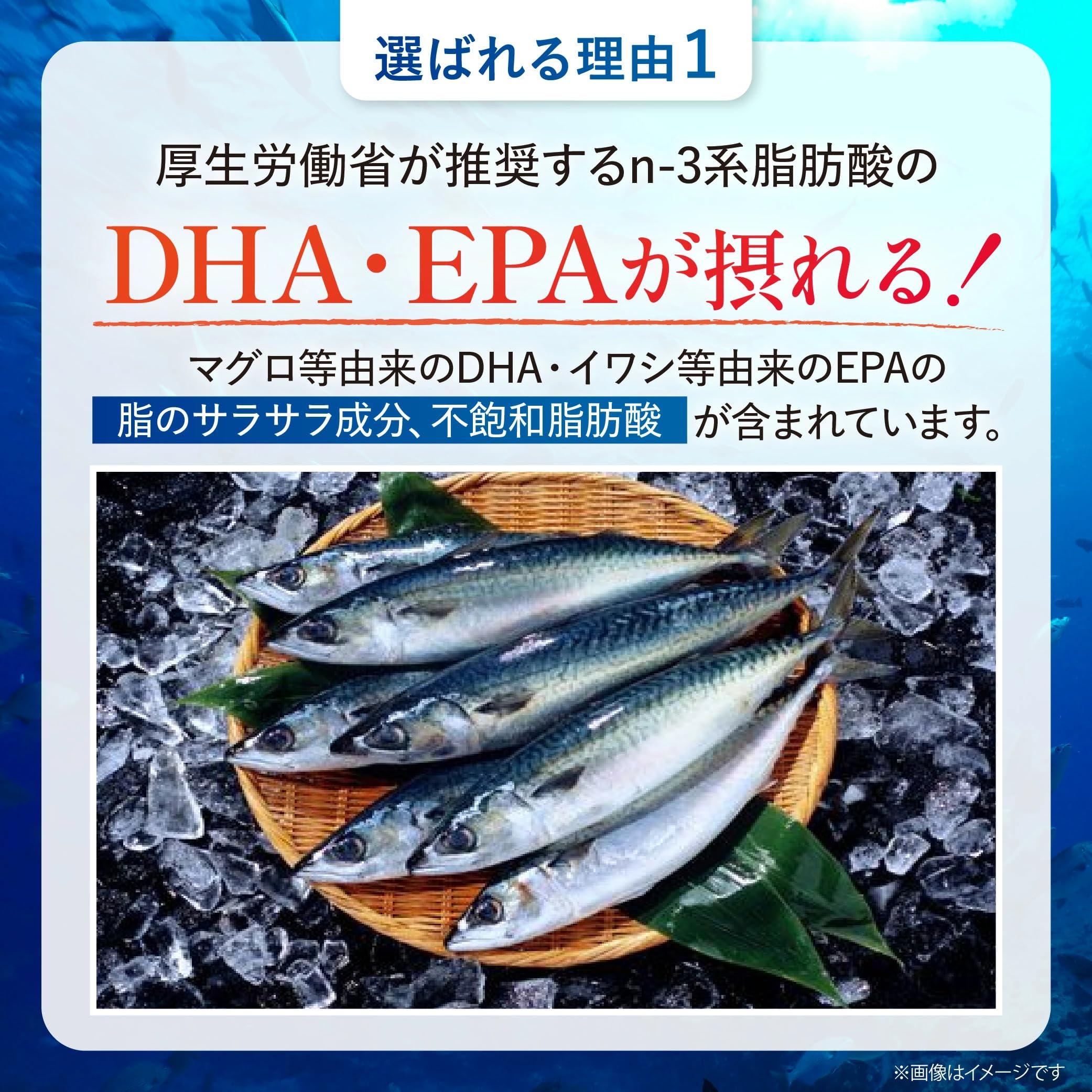 青魚の知恵　やずや　10袋 青魚の知恵｜やずや通販サイト