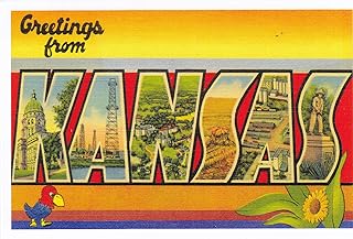 STATES3KAN GREETINGS FROM KANSAS [[ [Reprint vintage Large Letter name postcard (ca. 1930's-1940's)]] Sunflower State, Sta...