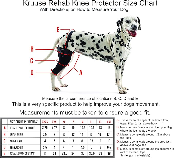 kruuse dog brace