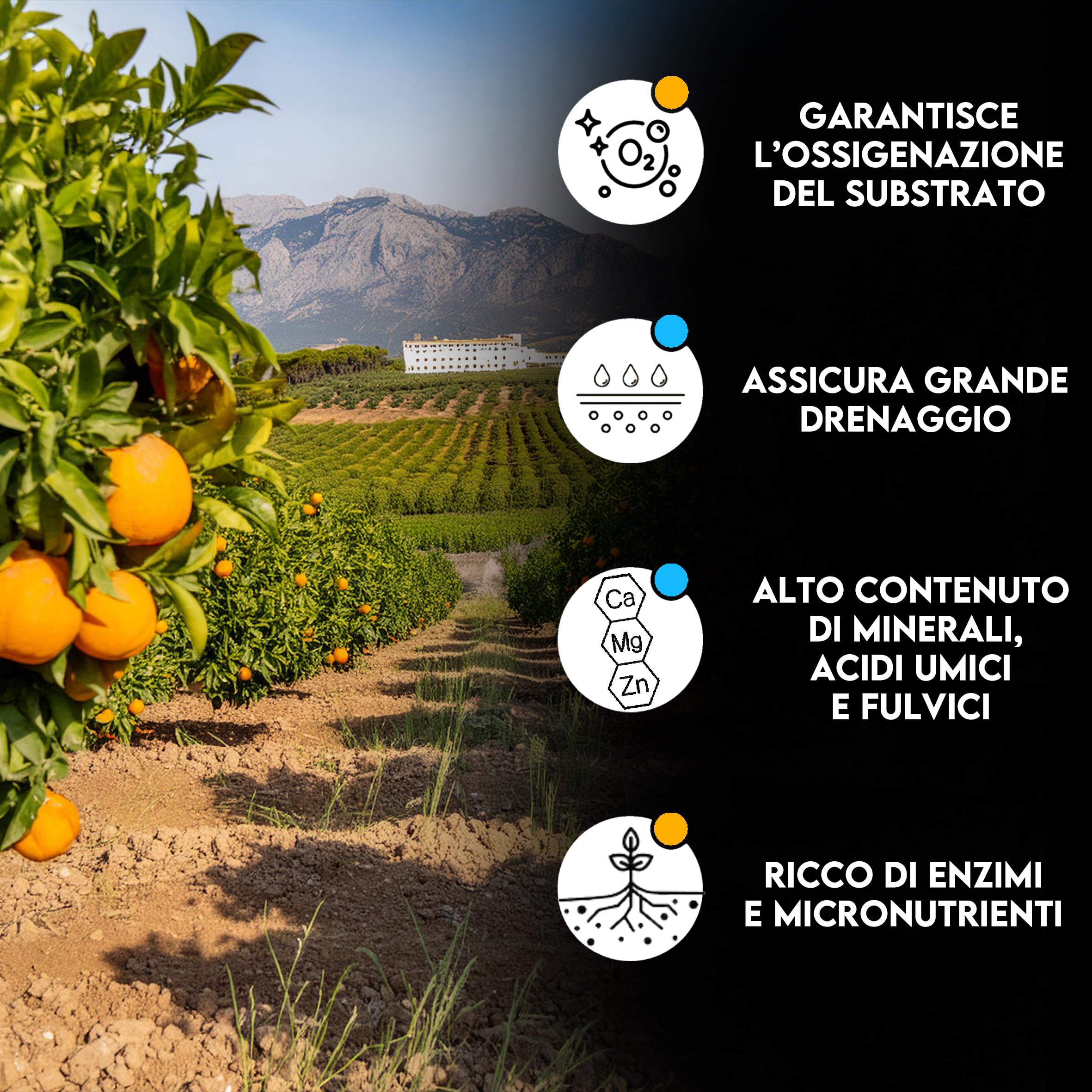 ZOMA Terriccio Per Agrumi Professionale - Con Humus Di Lombrico E PH Acido, Sacco Da 2 Litri