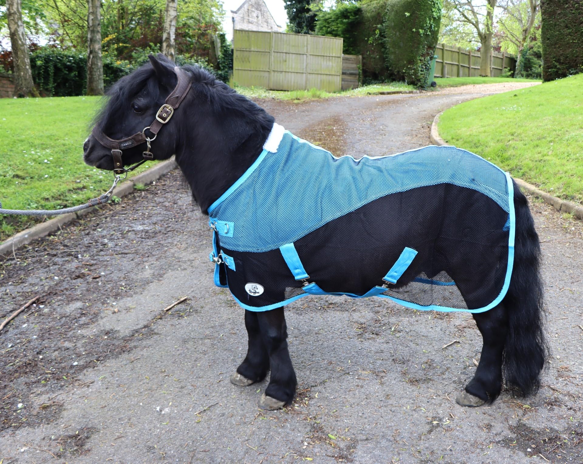 Ruggles Fleece/Mesh Cooler Rug for Shetland Pony, Miniature Horse, Donkey | Ideal for Travel Stable Cooling/drying after Exercise or Bathing (Black/Sky Blue, 4')