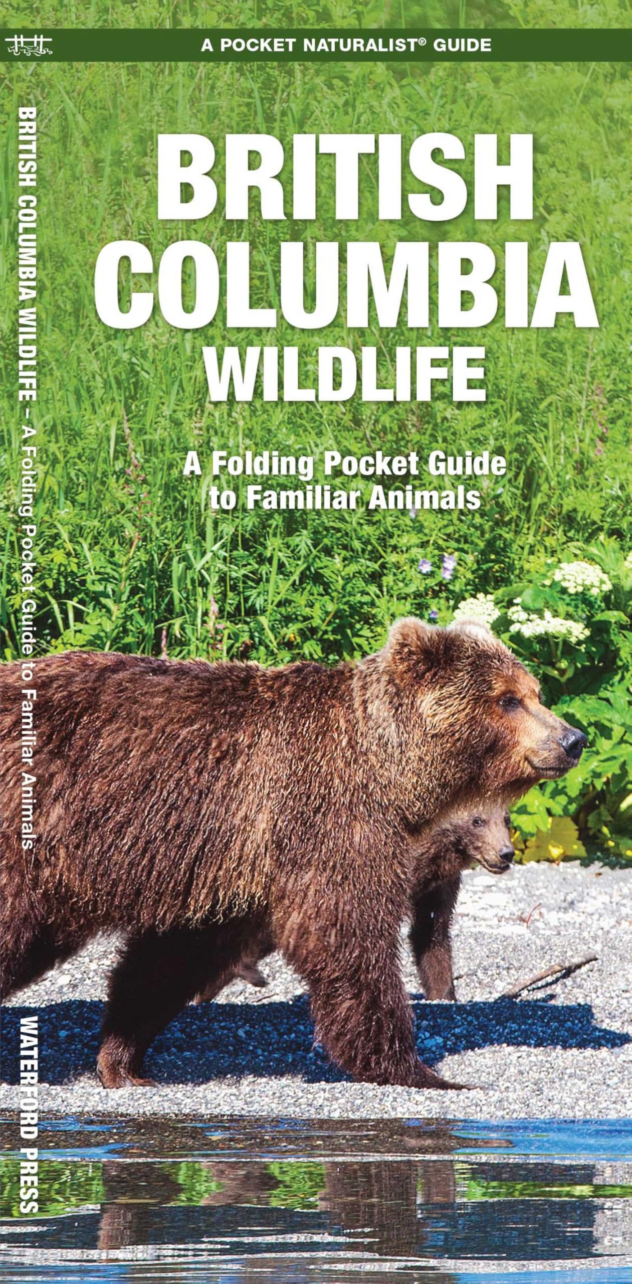British Columbia Wildlife: A Folding Pocket Guide to Familiar Species (A Pocket Naturalist Guide) (Pocket Naturalist Guide Series)