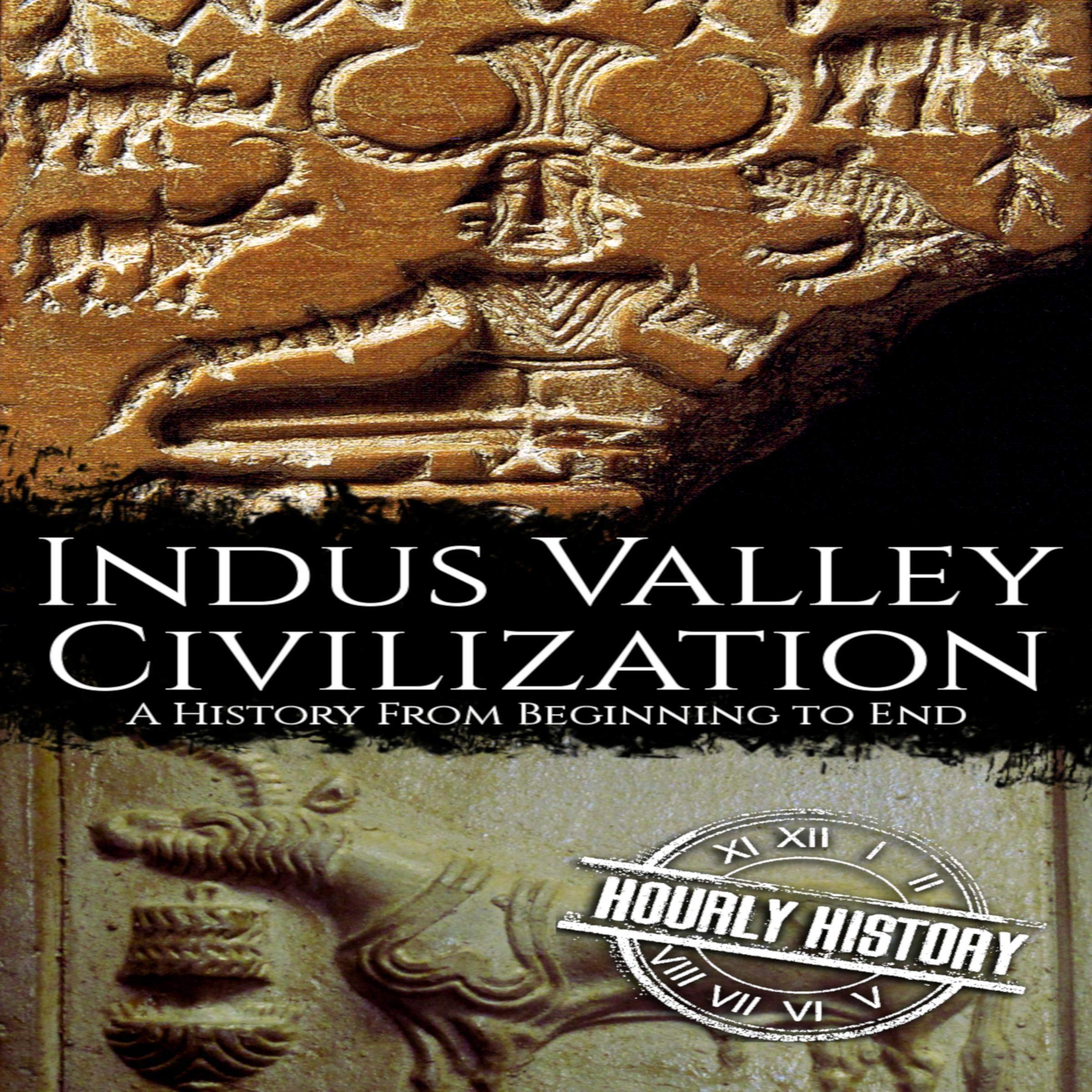 Cover art for Indus Valley Civilization