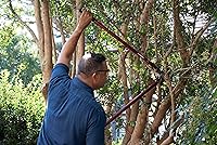 Vista 6 de Corona tijeras de podar de alto rendimiento, corte de 2 1/4