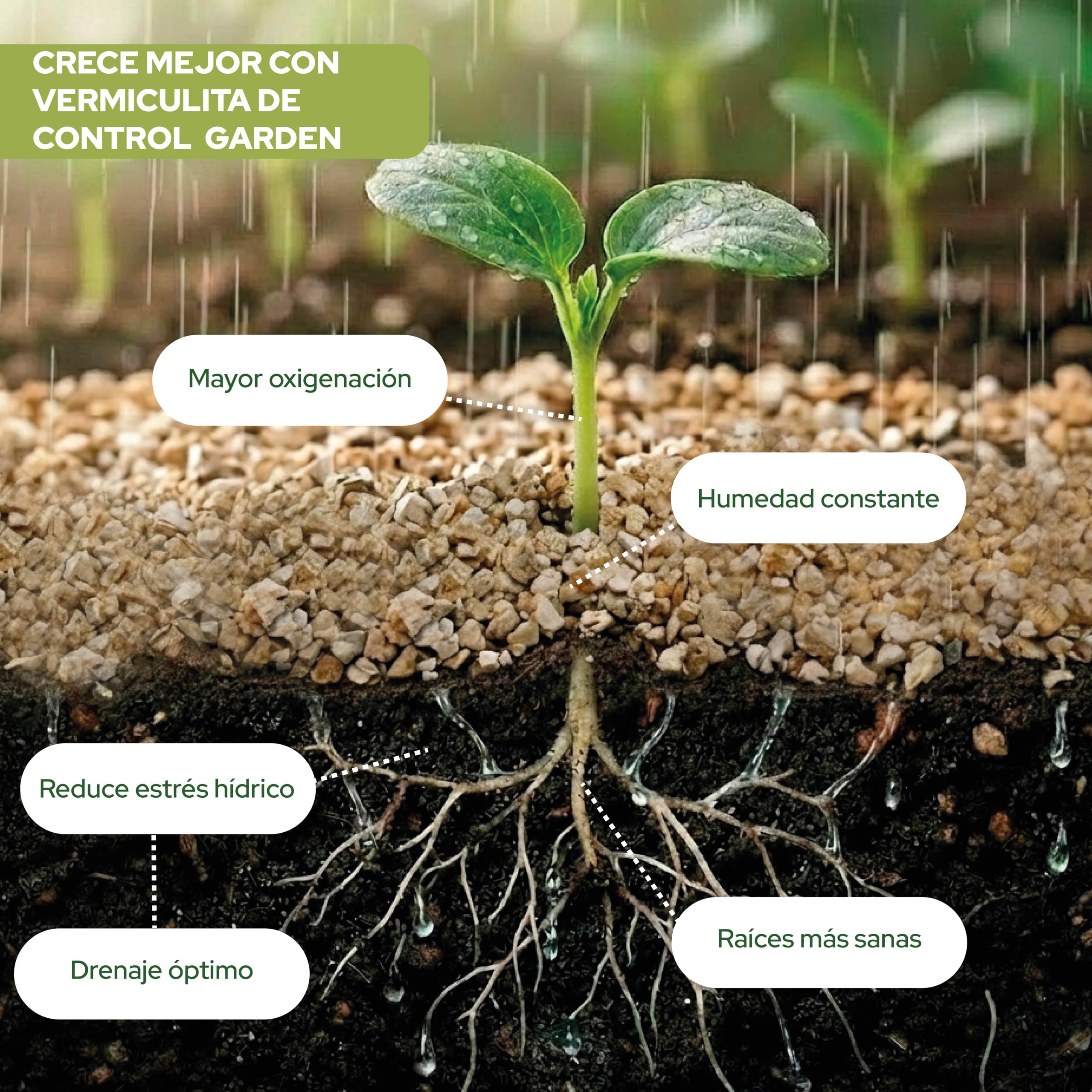 Control Garden Vermiculita 100L | Tierra para Plantas y Cultivos Interior y Exterior | Sustrato Natural para Semillas | Fabricado en España