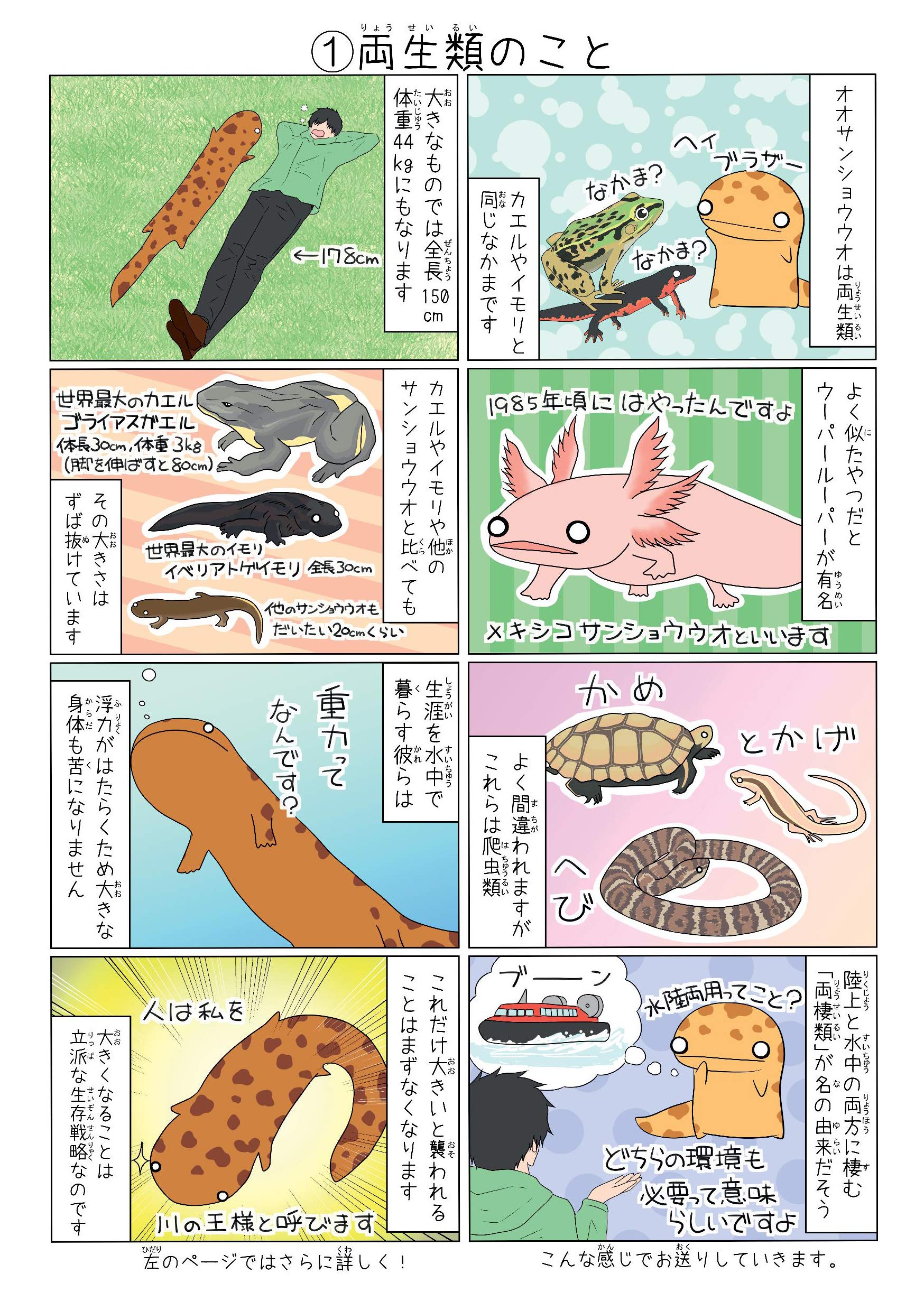 オオサンショウウオと暮らすための50のこと 清水 則雄 山﨑 大海 本 通販 Amazon