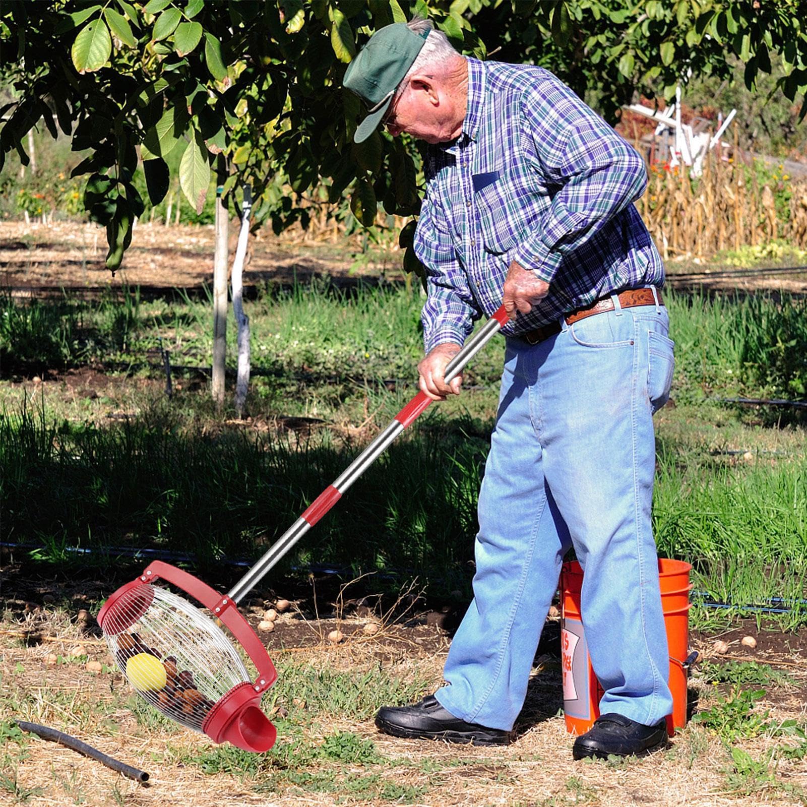 Raccolta di noci – Rullo per raccolta di noci | Macchina per raccolta di noci rotanti con manico lungo, raccoglitore a sfere, attrezzi da giardino per frutta pecan, granchi, castagne, ghiande,