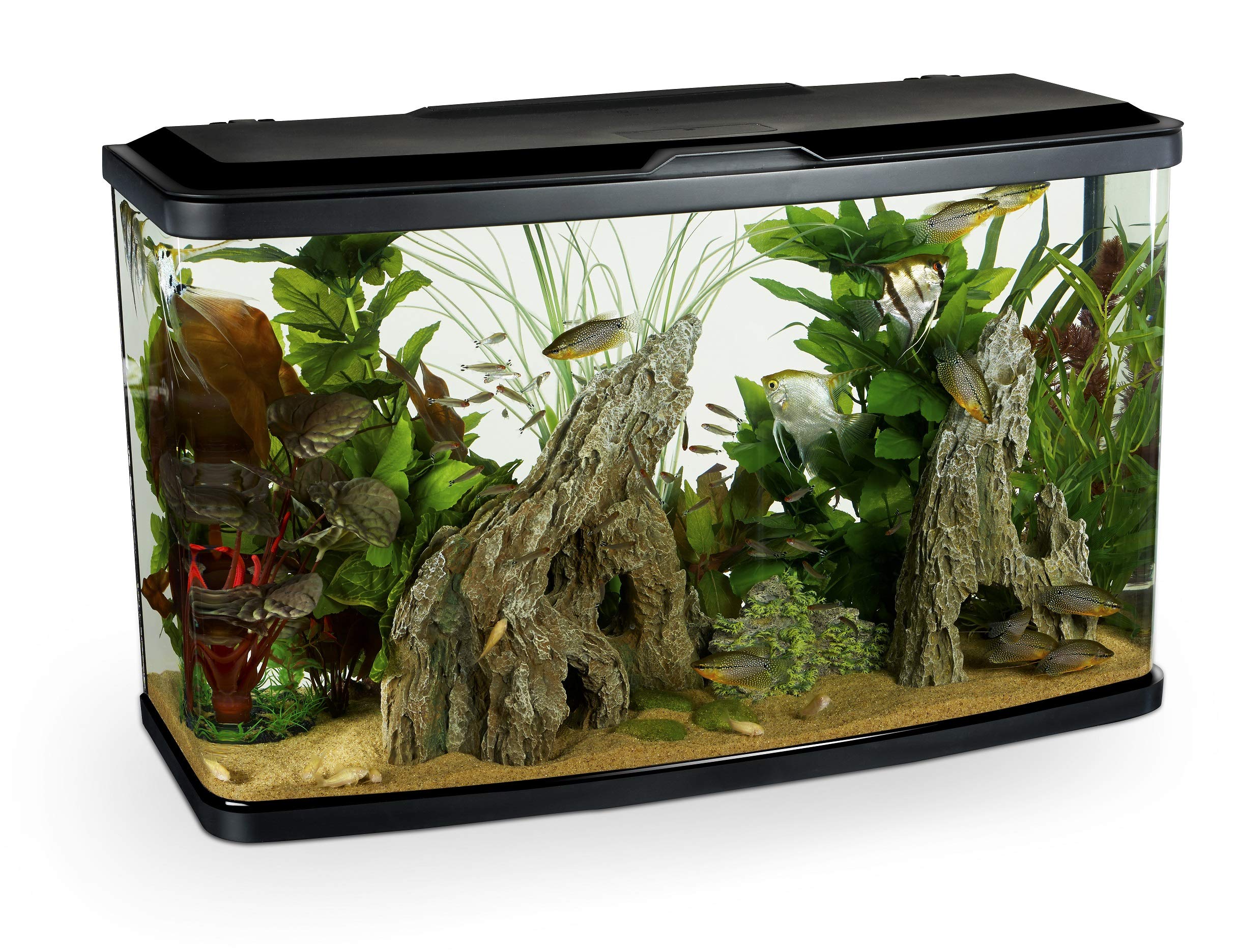 Marina Vue 87 Aquarium