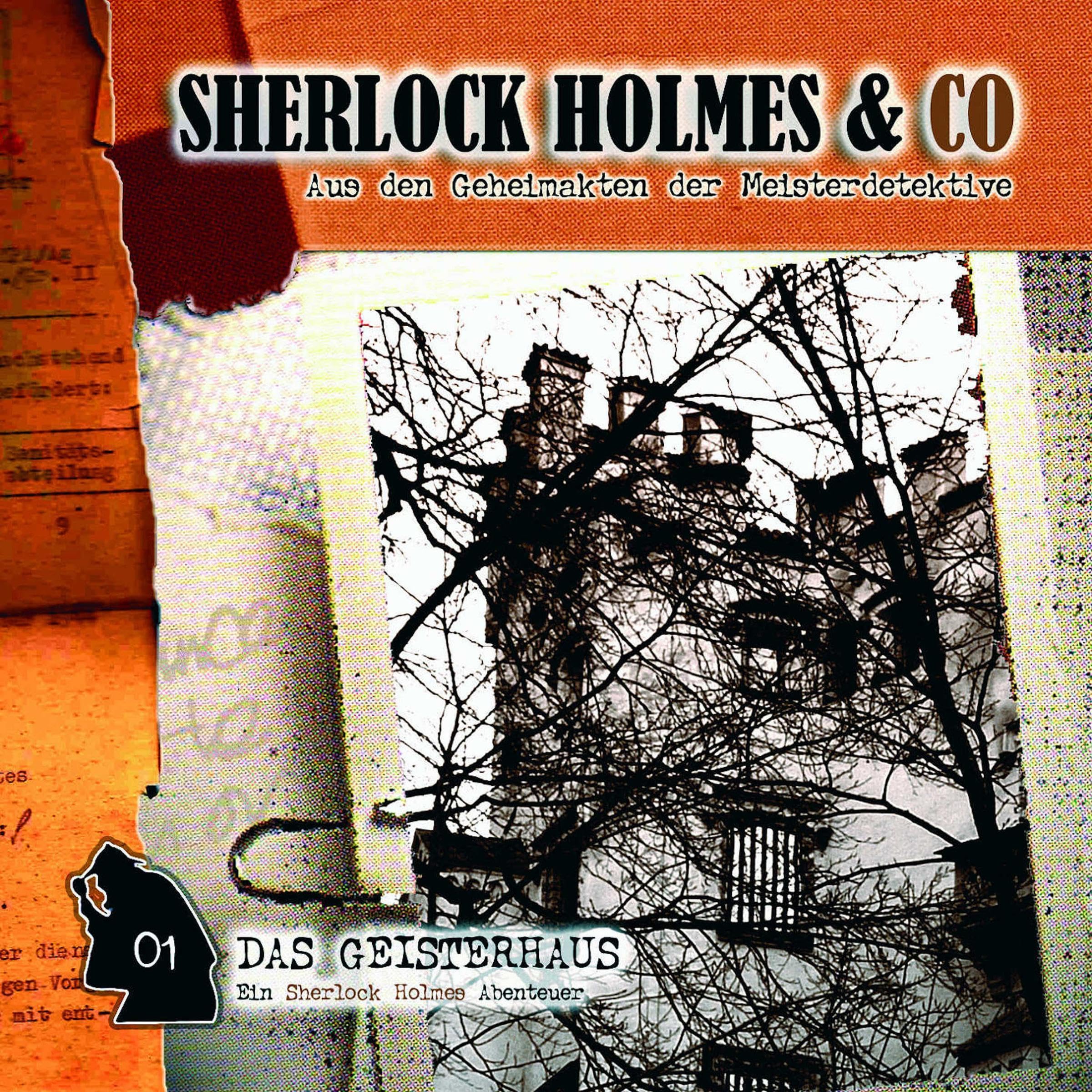 Cover art for Das Geisterhaus