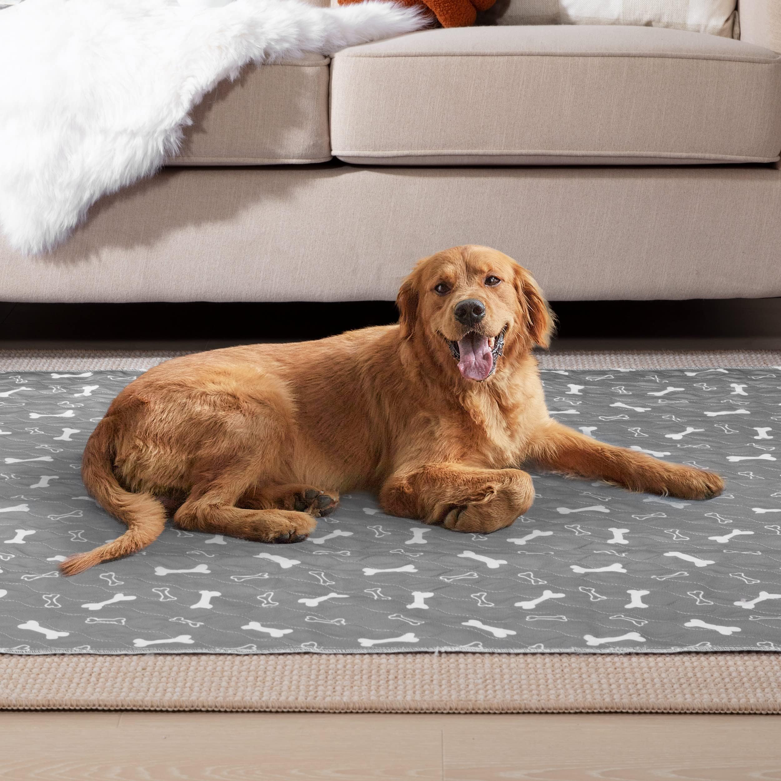 Eterish Almohadillas reutilizables lavables para orina para perros, extragrandes, de 54 x 54 pulgadas, paquete de 2, almohadillas absorbentes para entrenamiento de cachorros, antideslizantes
