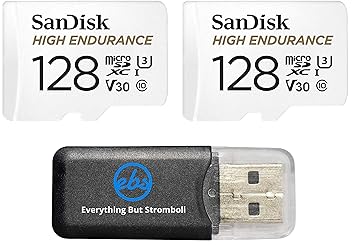 SanDisk 128GB High Endurance MicroSDXC Memory Card (2 Pack) for Garmin Dash Cam 57, 67W, Mini 2, 47 Series (SDSQQNR-128G-GN6IA) Class 10 Bundle with (1) Everything But Stromboli MicroSD Card Reader